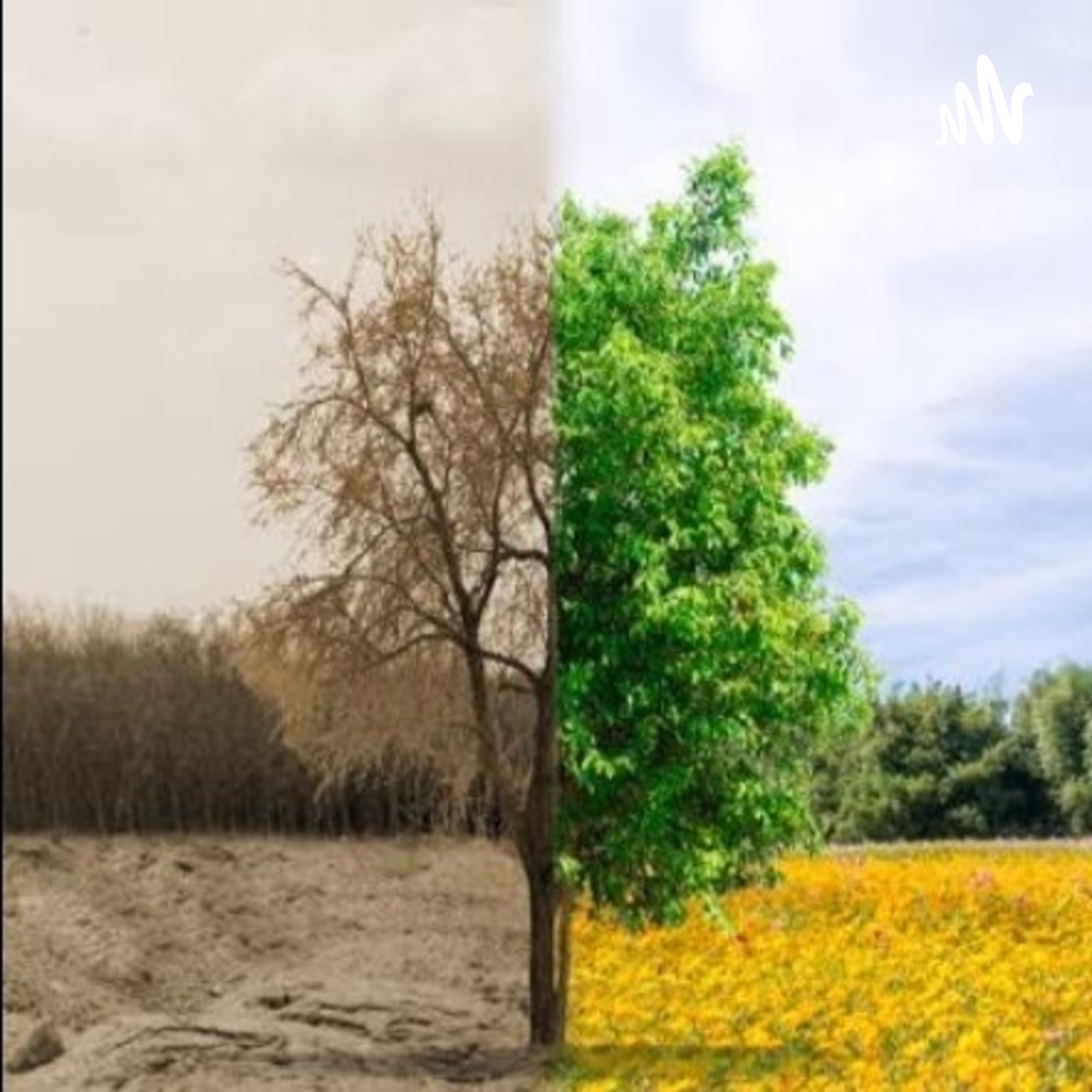 Sobreexplotación Ambiental