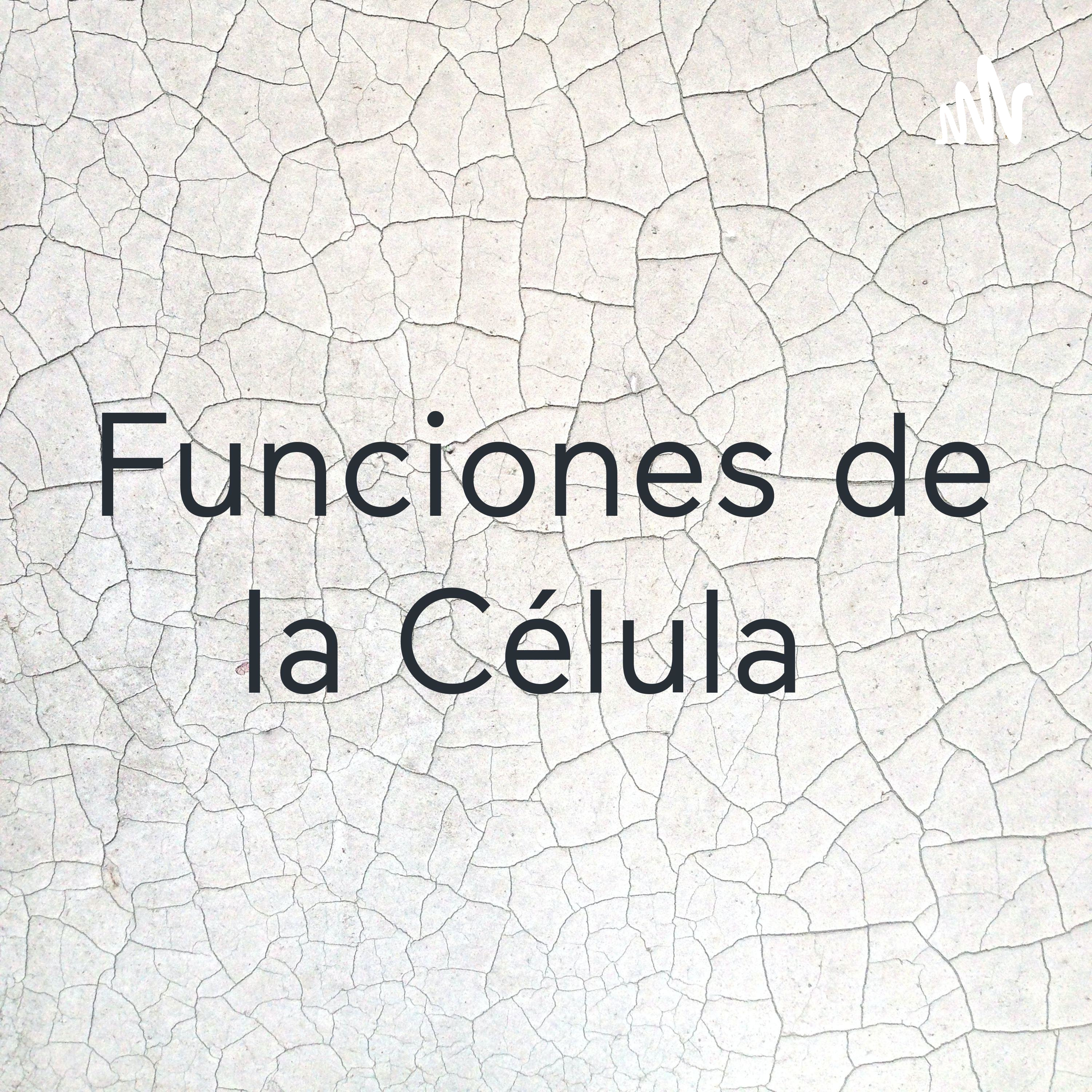 Funciones de la Célula