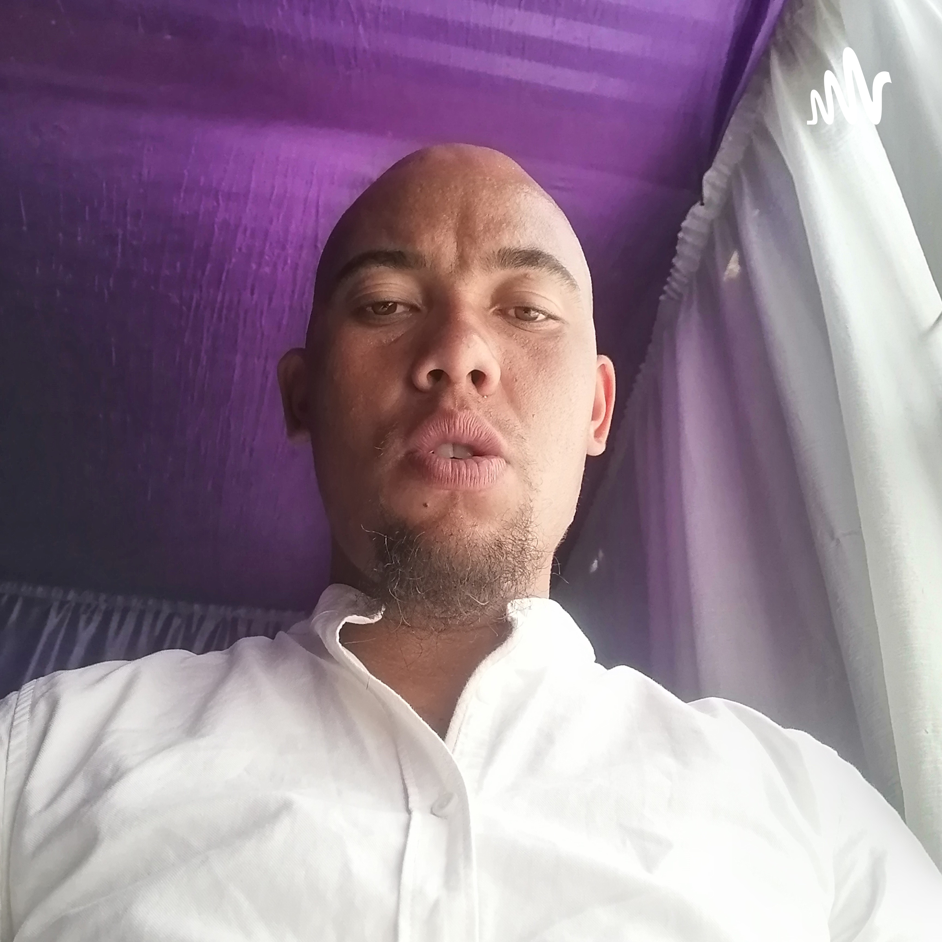PS LESSING 