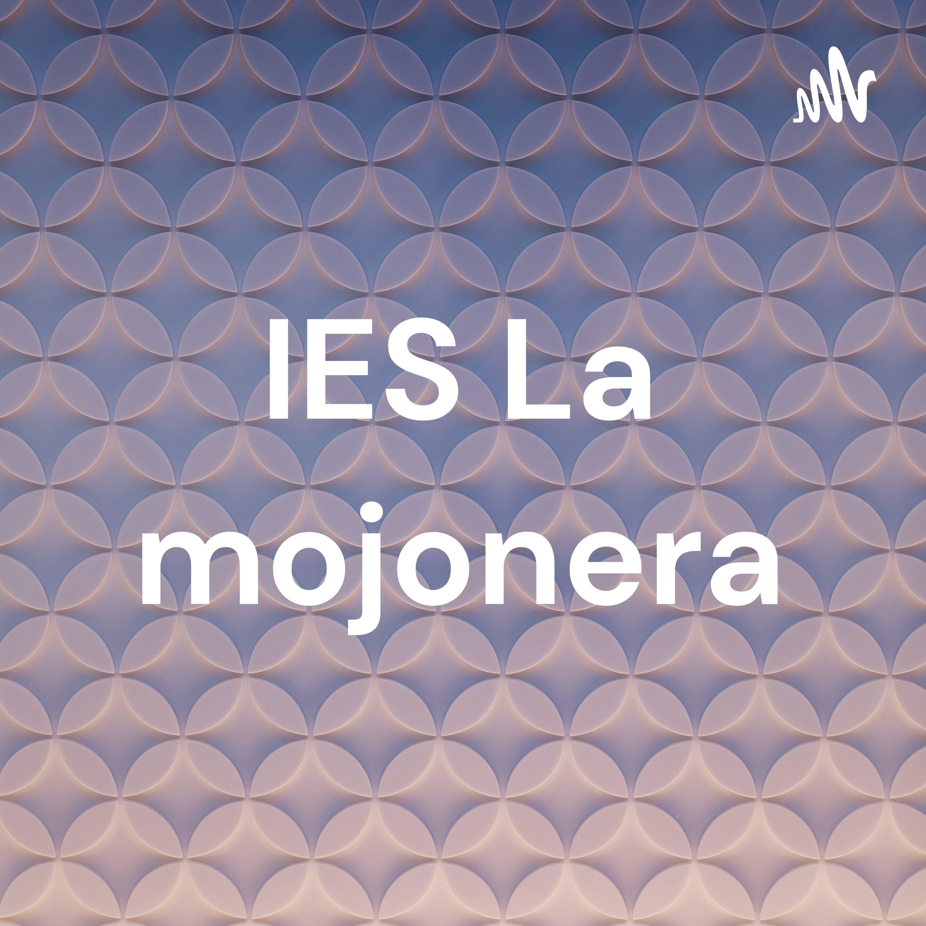 IES La mojonera