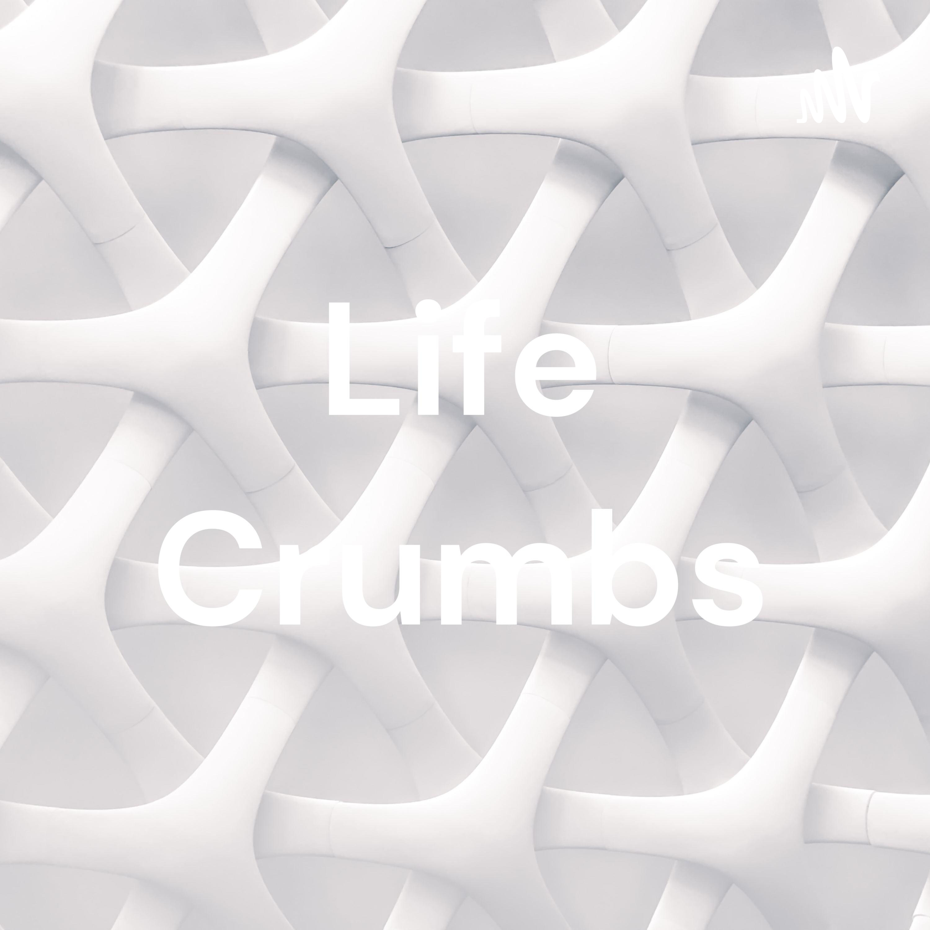 Life Crumbs