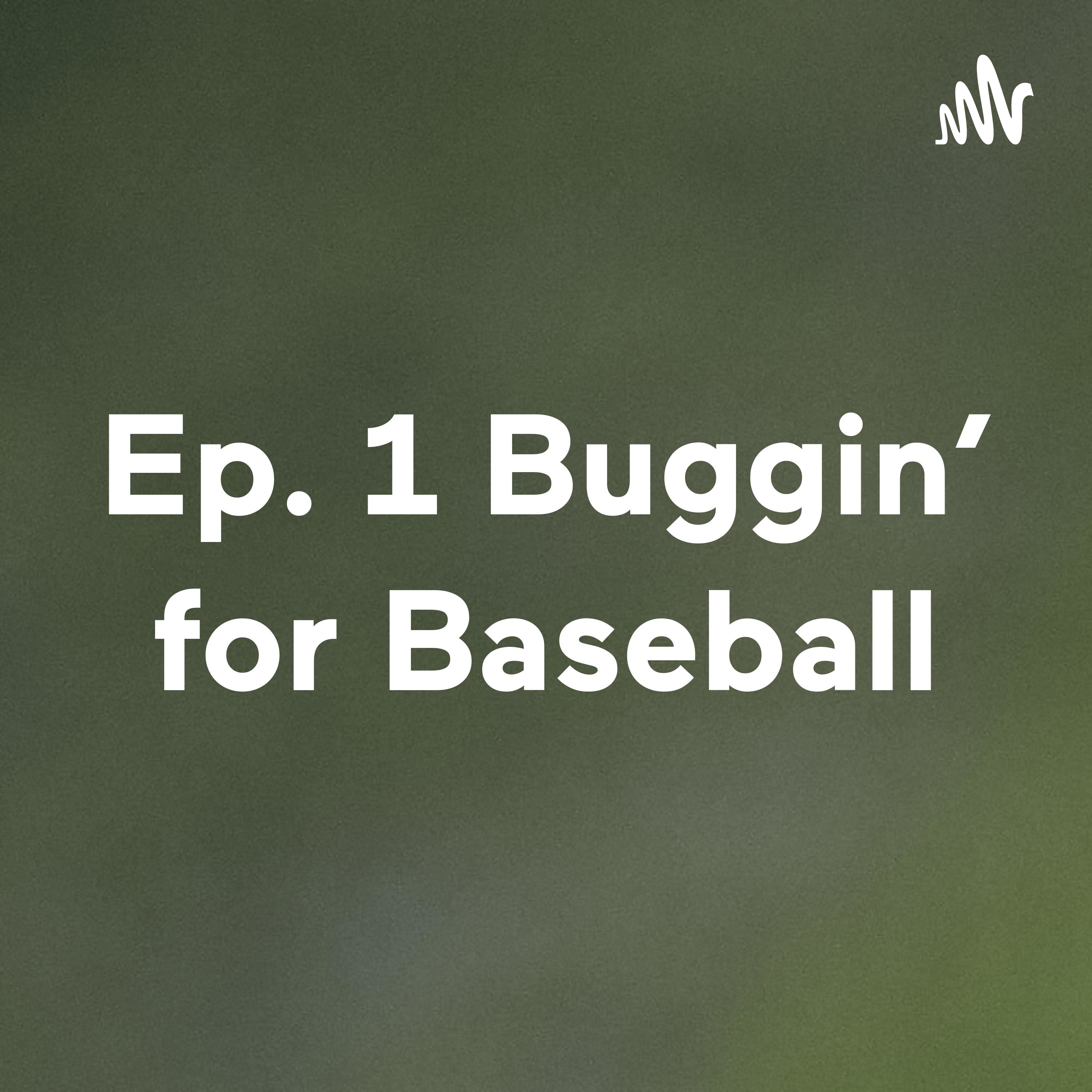 Ep. 1 Buggin' for Baseball