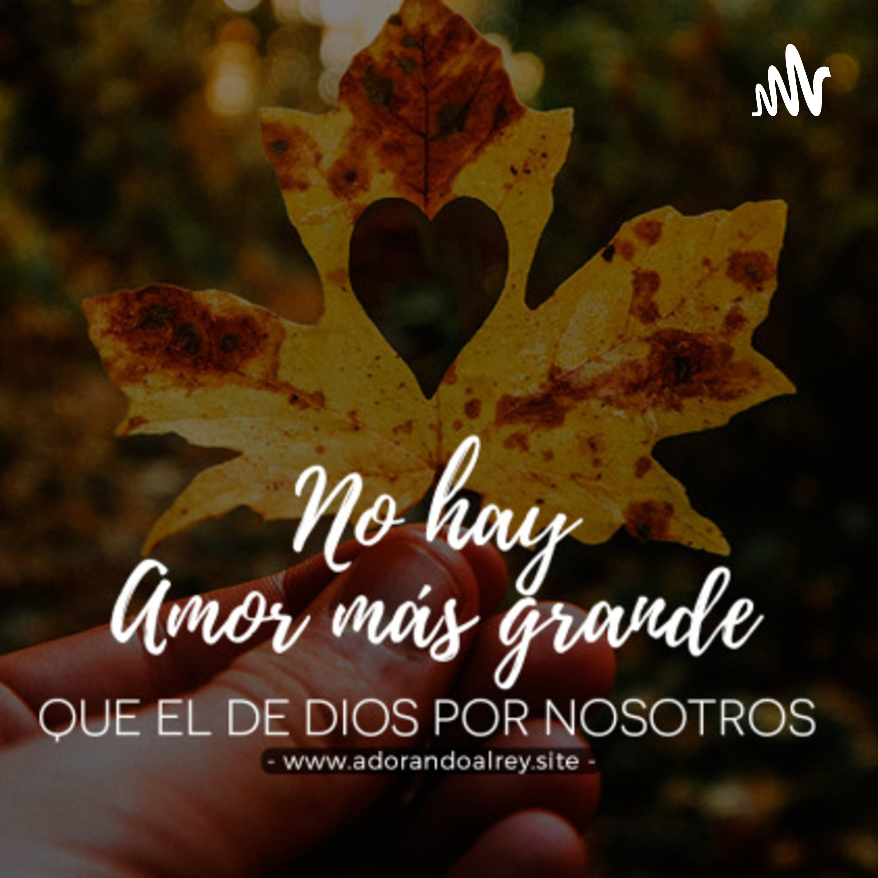 La confianza en Dios no avergüenza nuestra Fe.