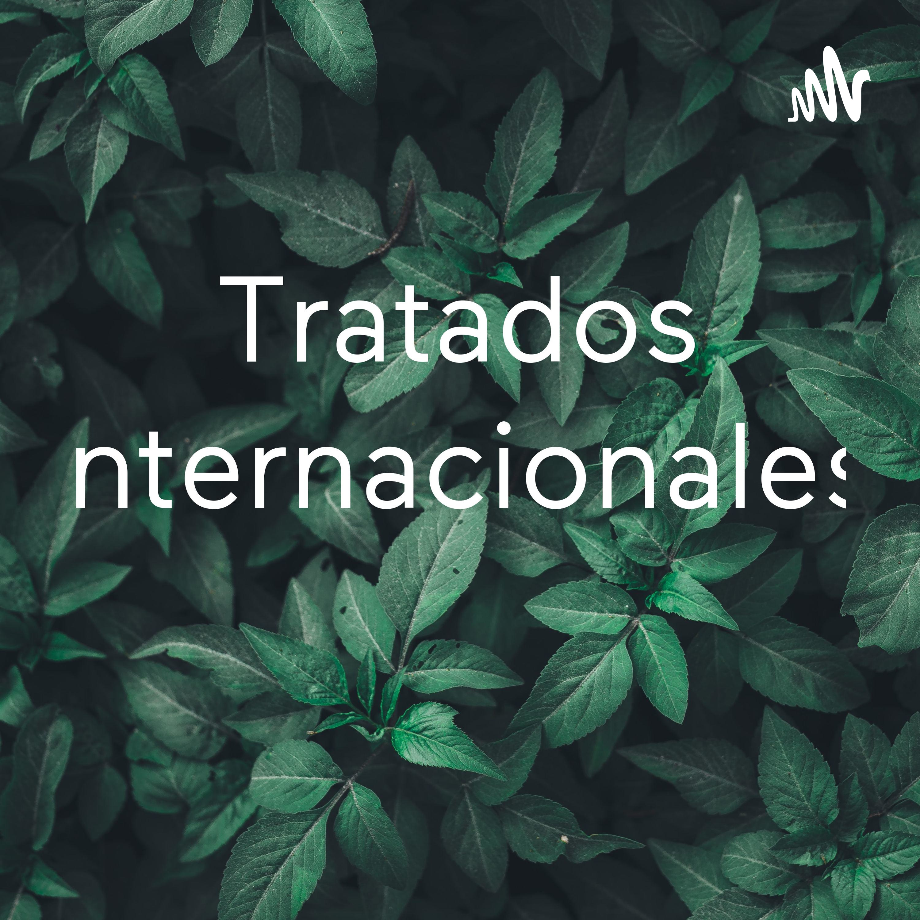 Tratados internacionales 