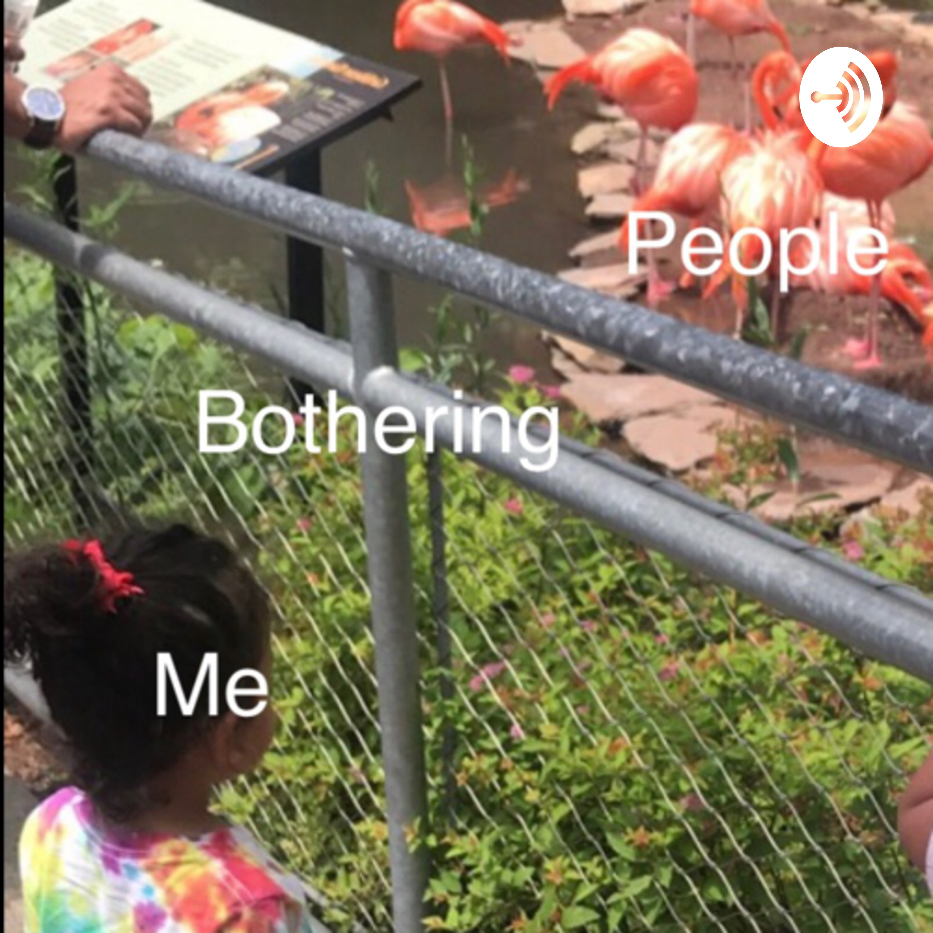 (Manic) Episode