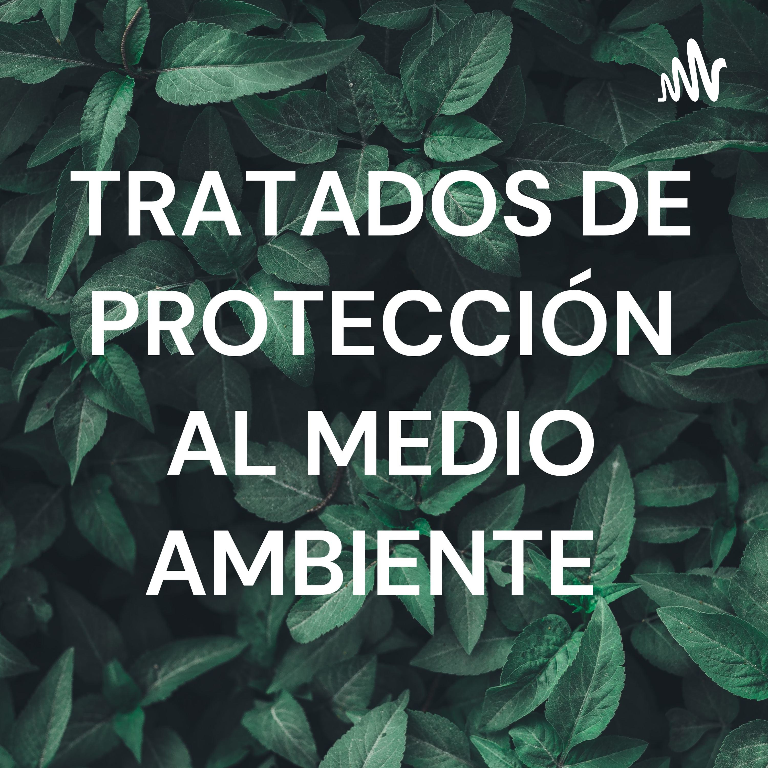 TRATADOS DE PROTECCIÓN AL MEDIO AMBIENTE
