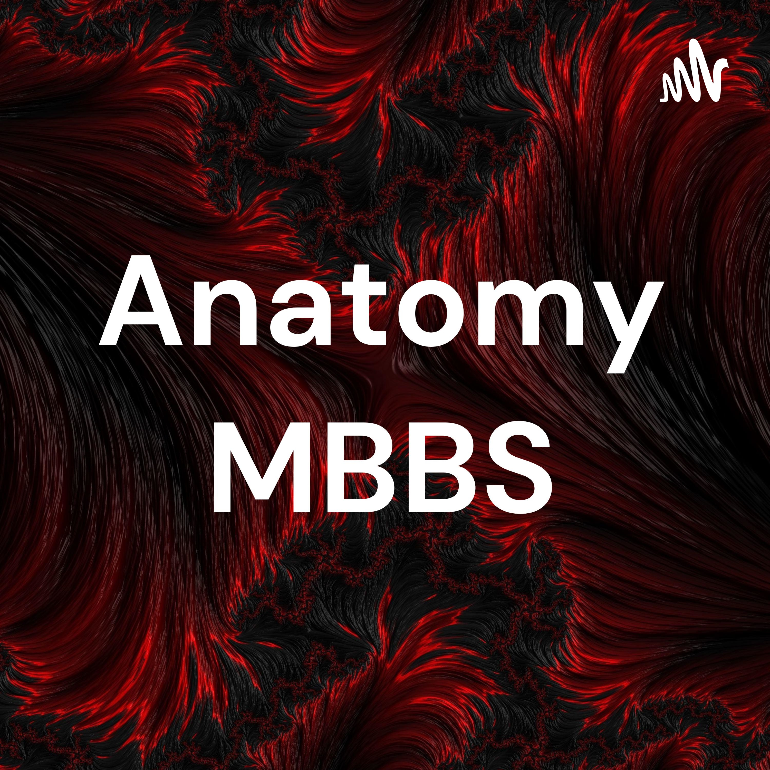 The MBBS Way Galaxy