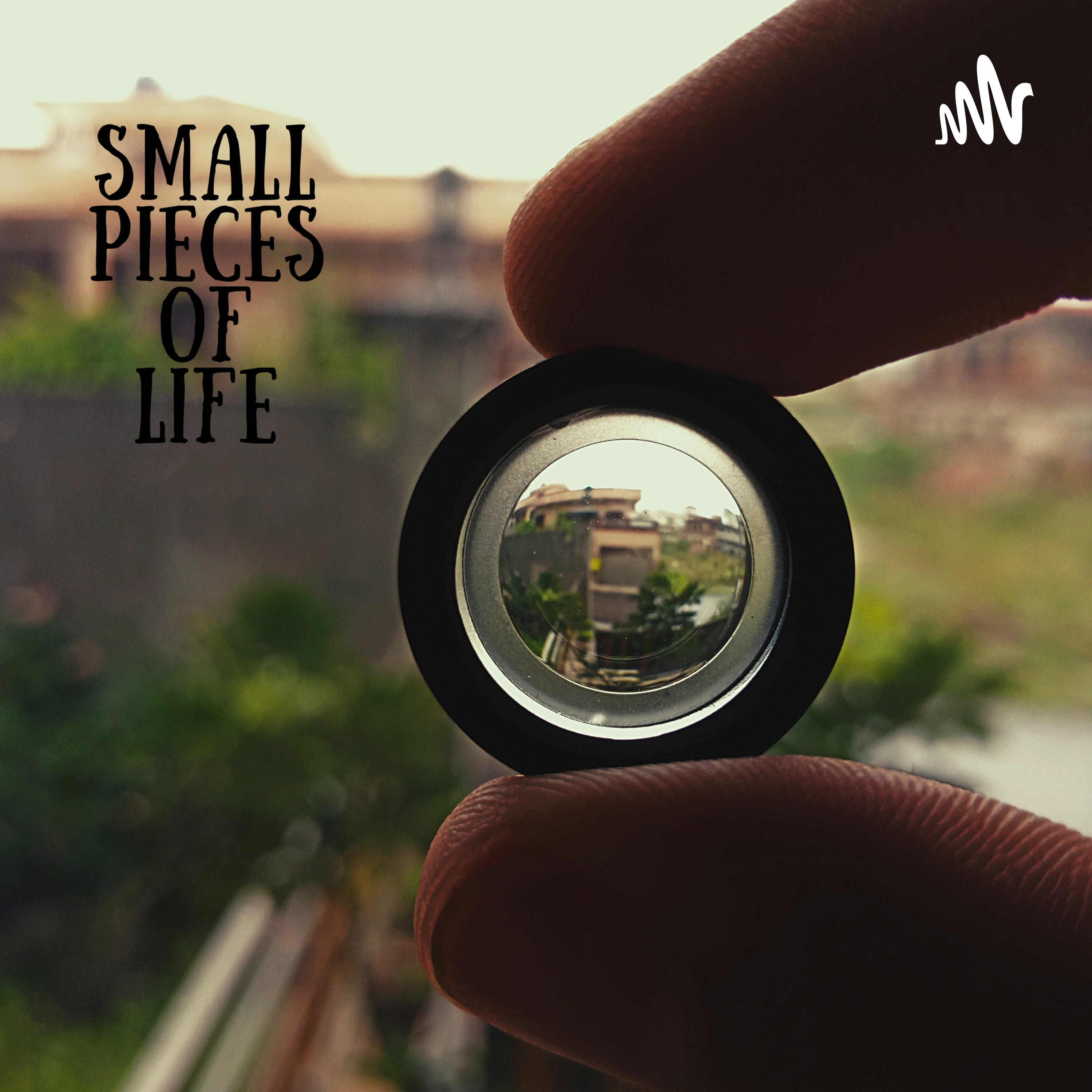 Small Pieces Of Life