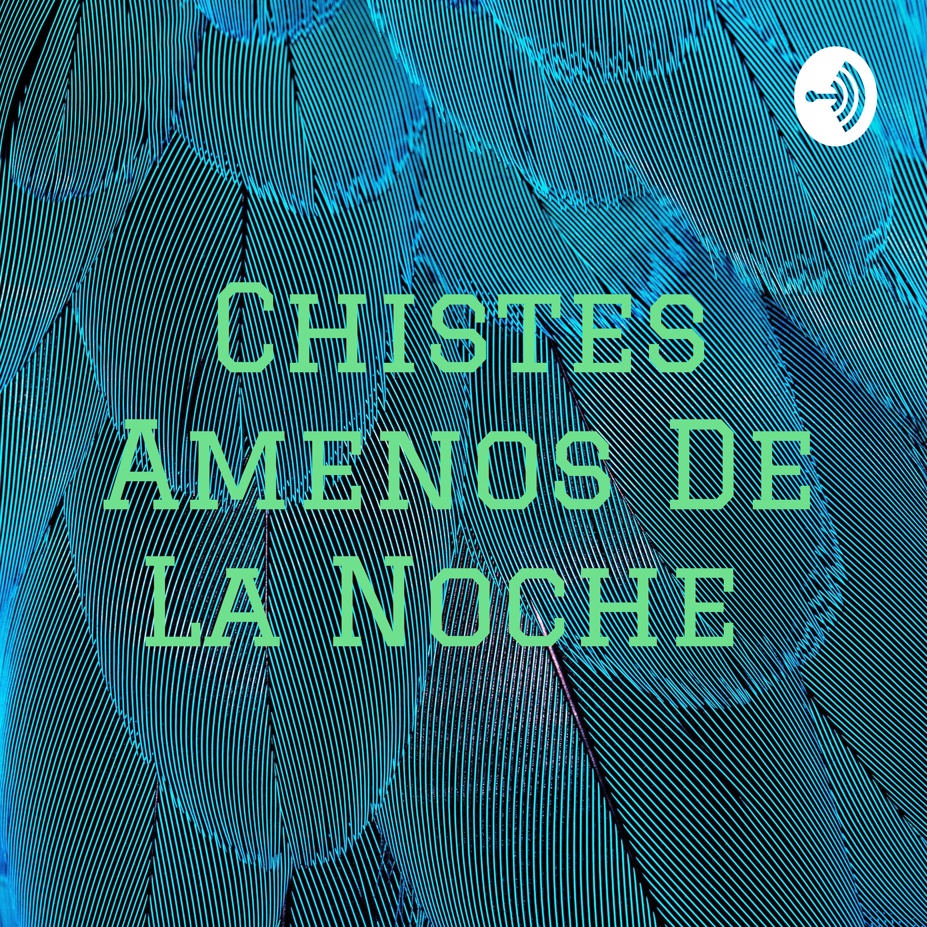 Chistes Amenos De La Noche 