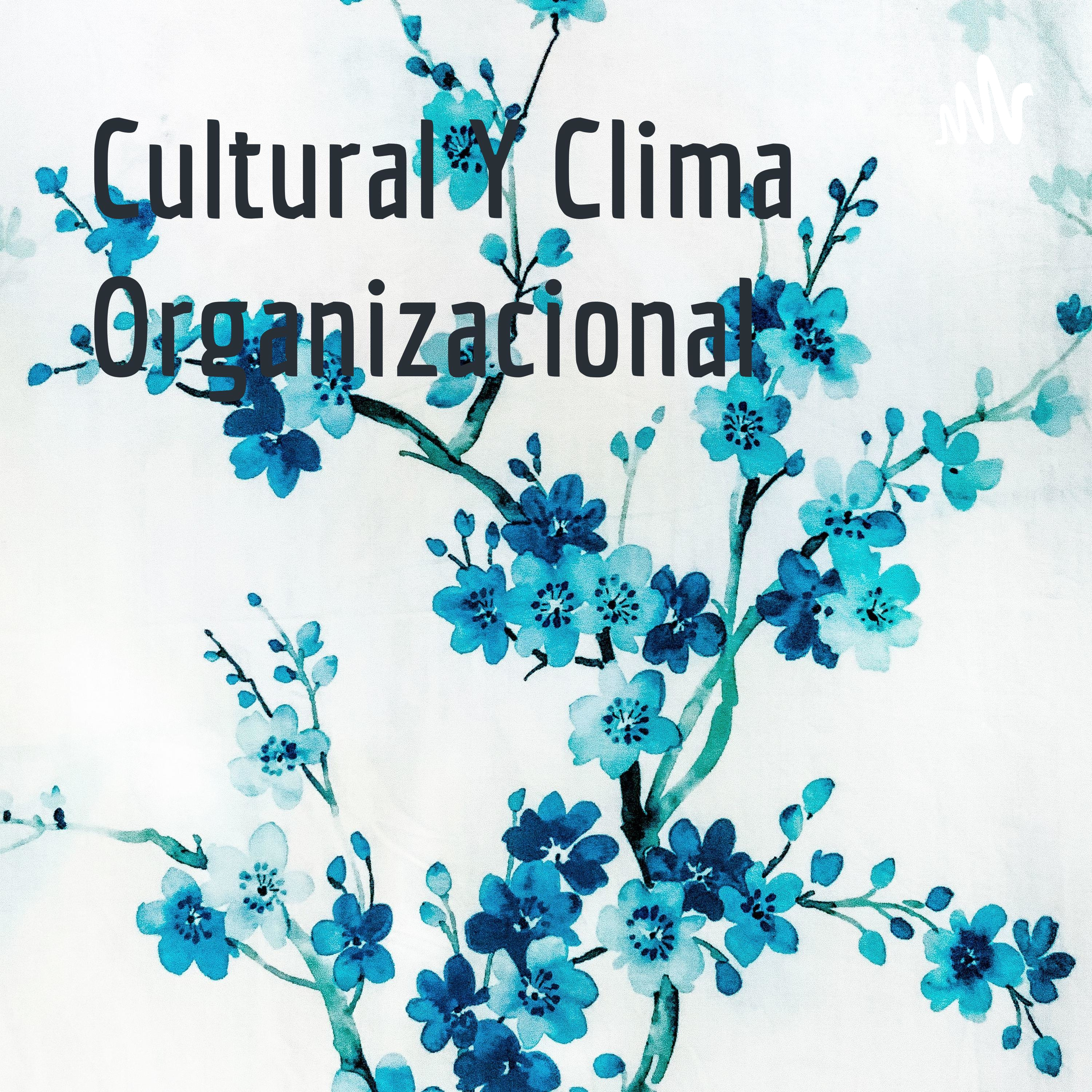 Cultural Y Clima Organizacional cover art