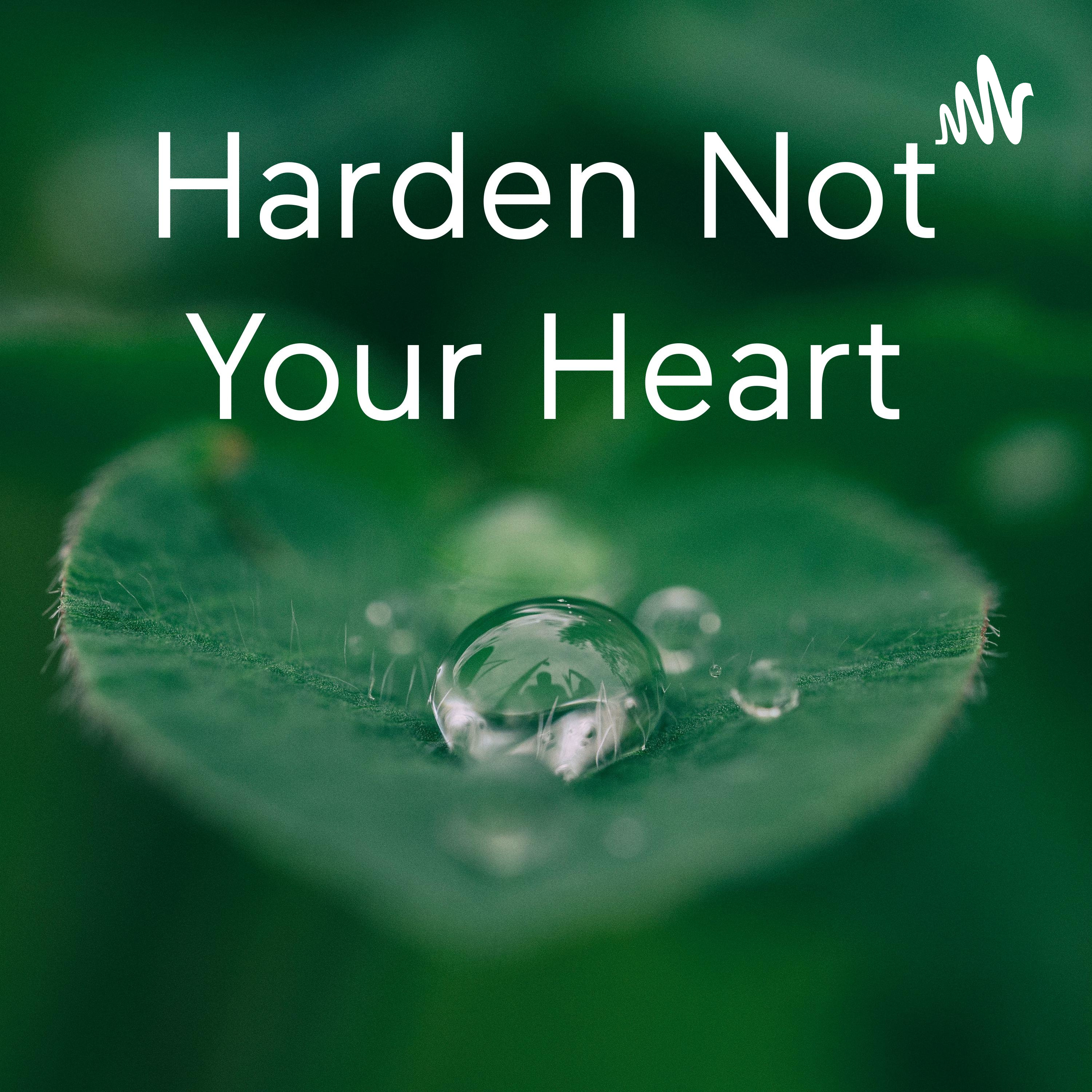 Harden Not Your Heart