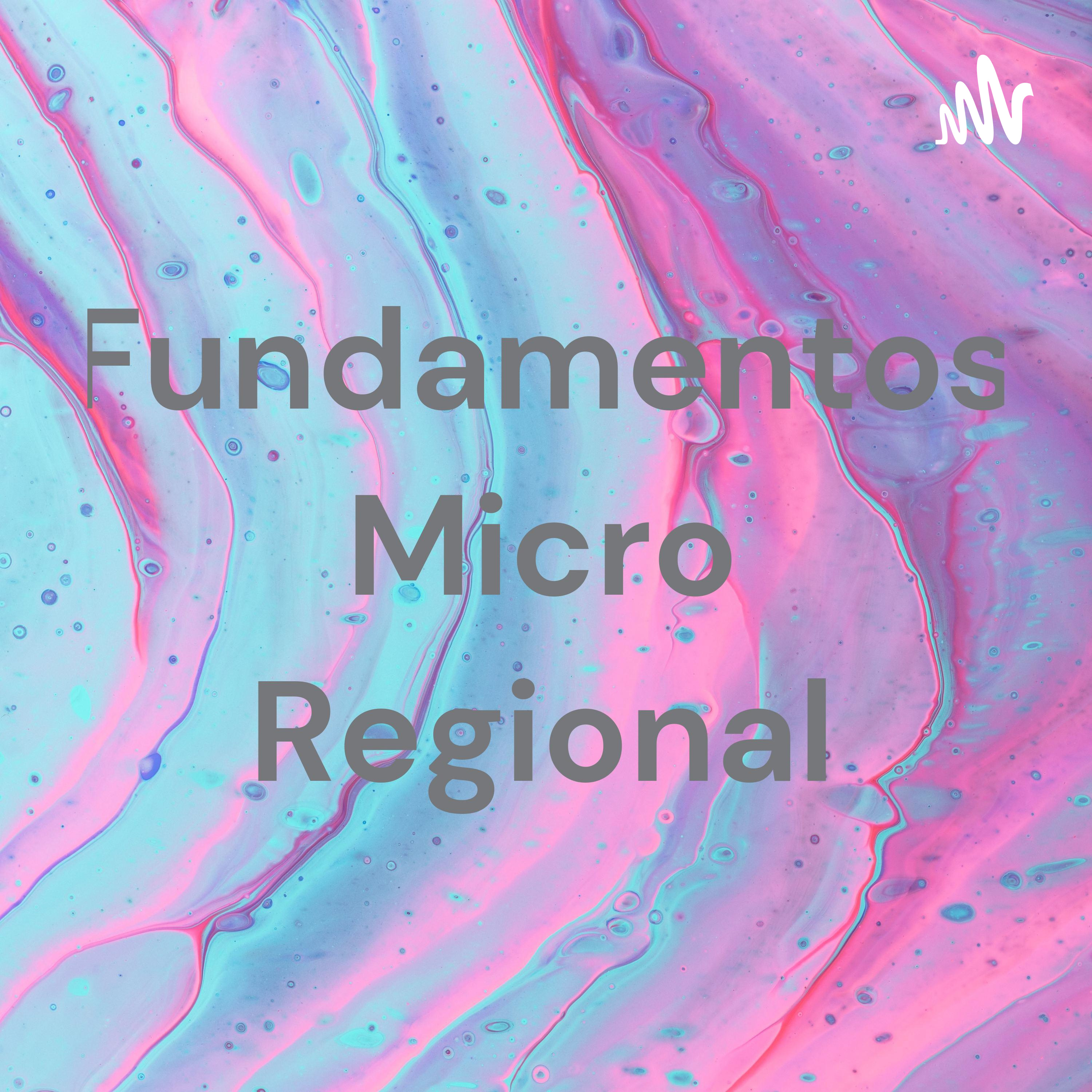 Fundamentos Micro Regional