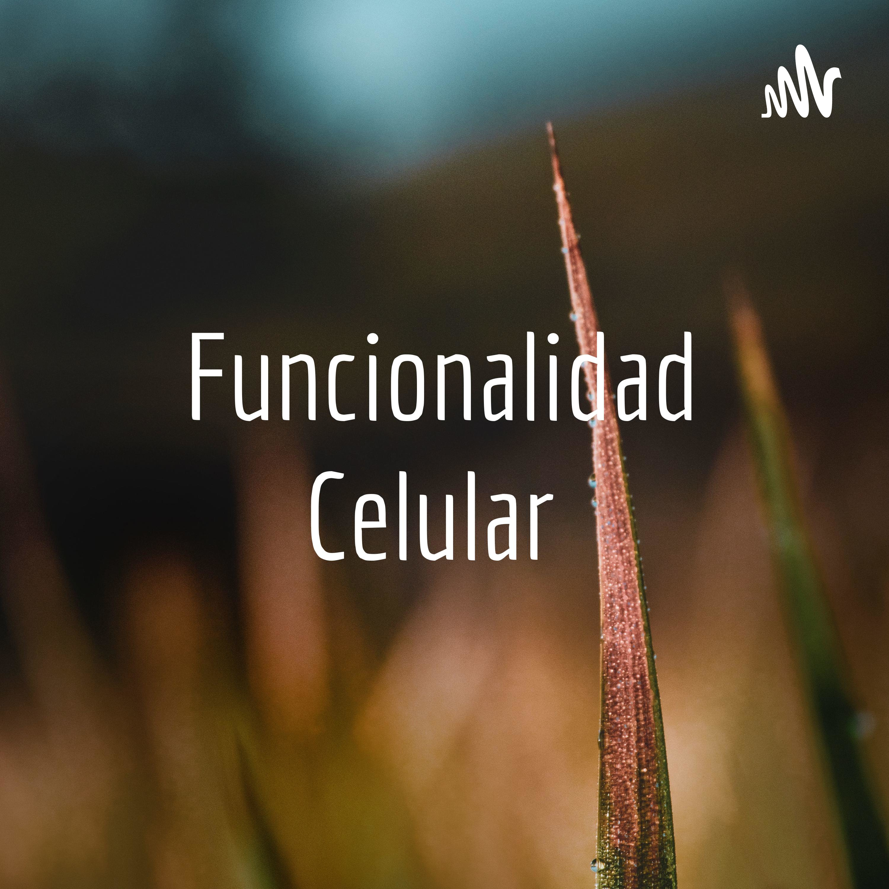 Funcionalidad Celular 