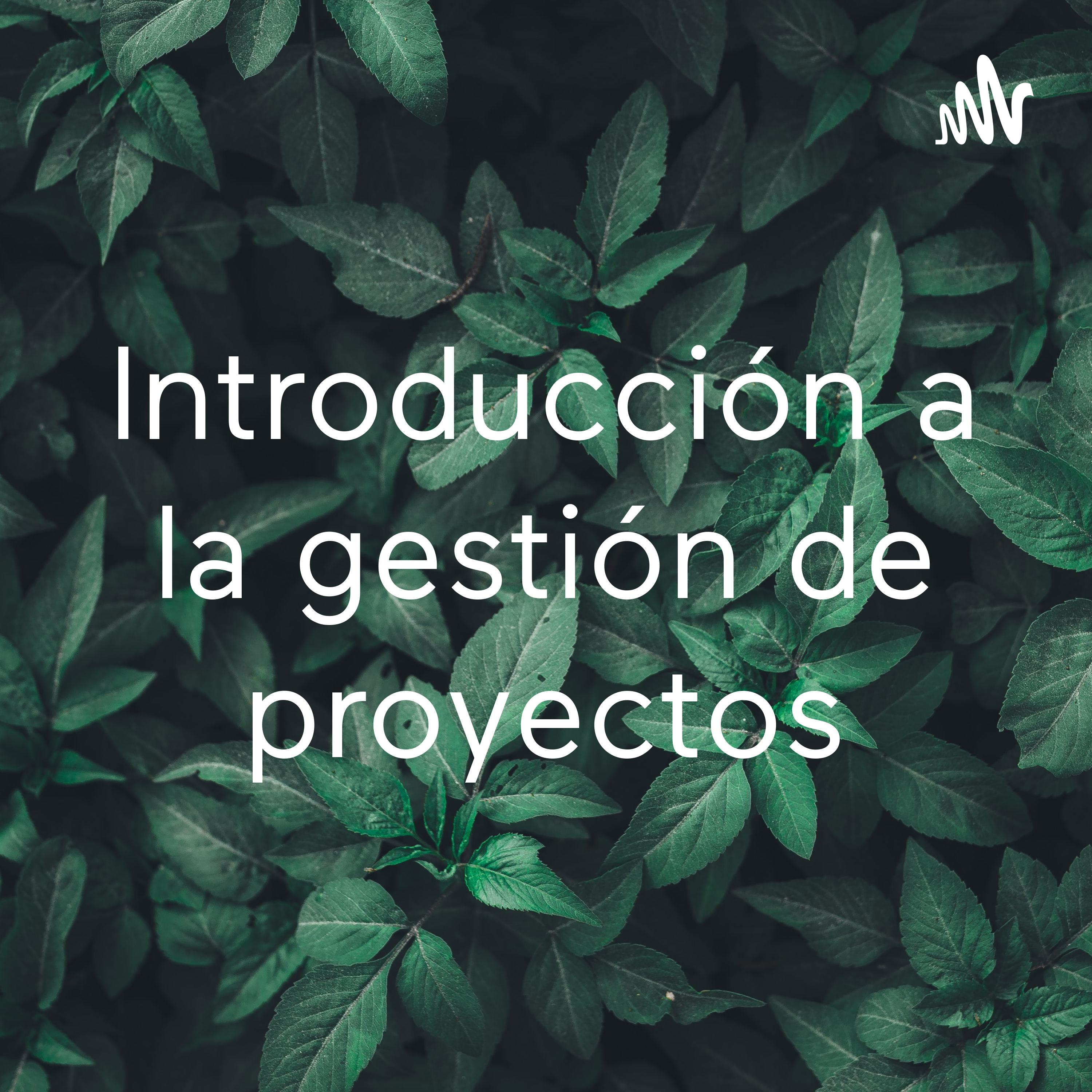 Introducción a la gestión de proyectos