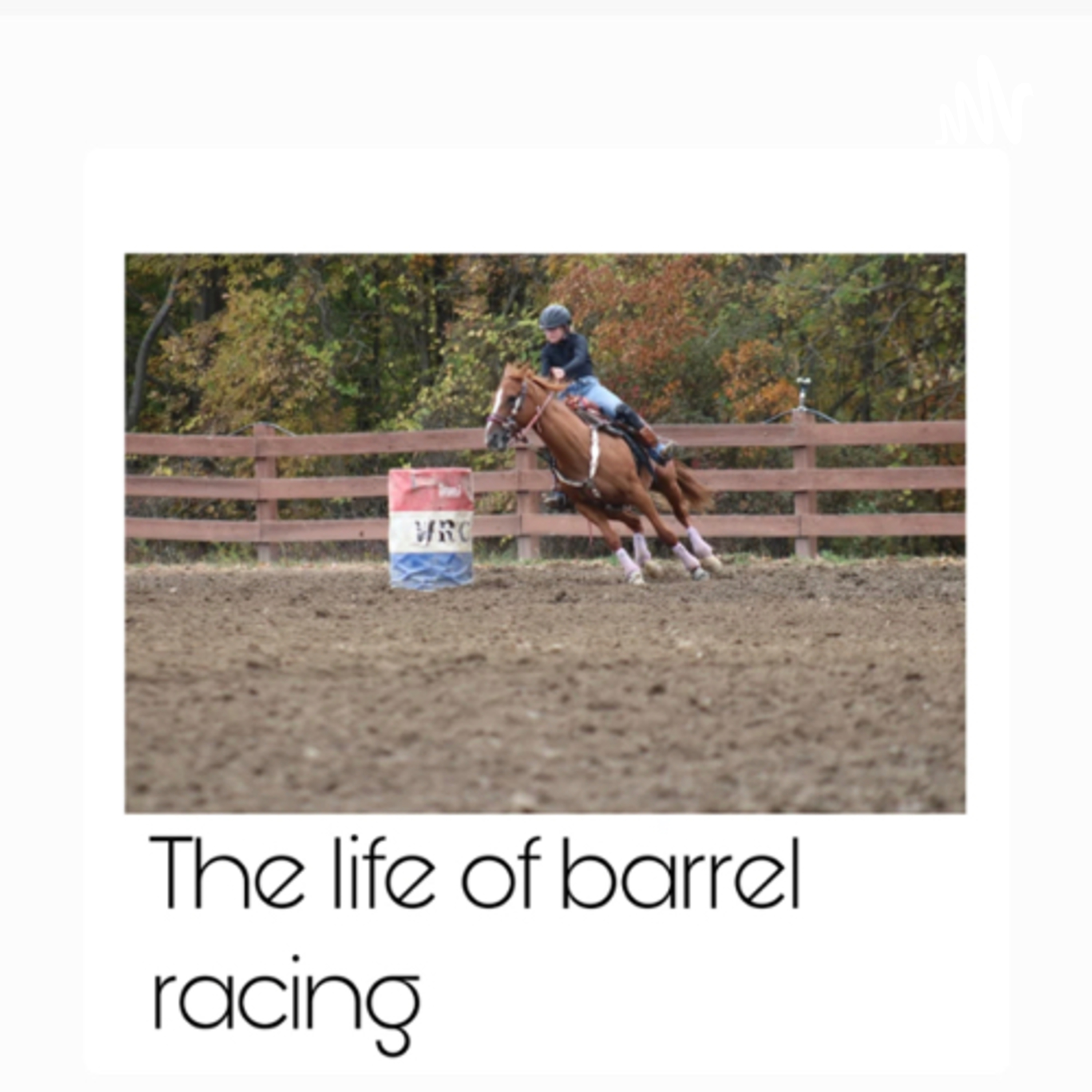Life of a barrel racer