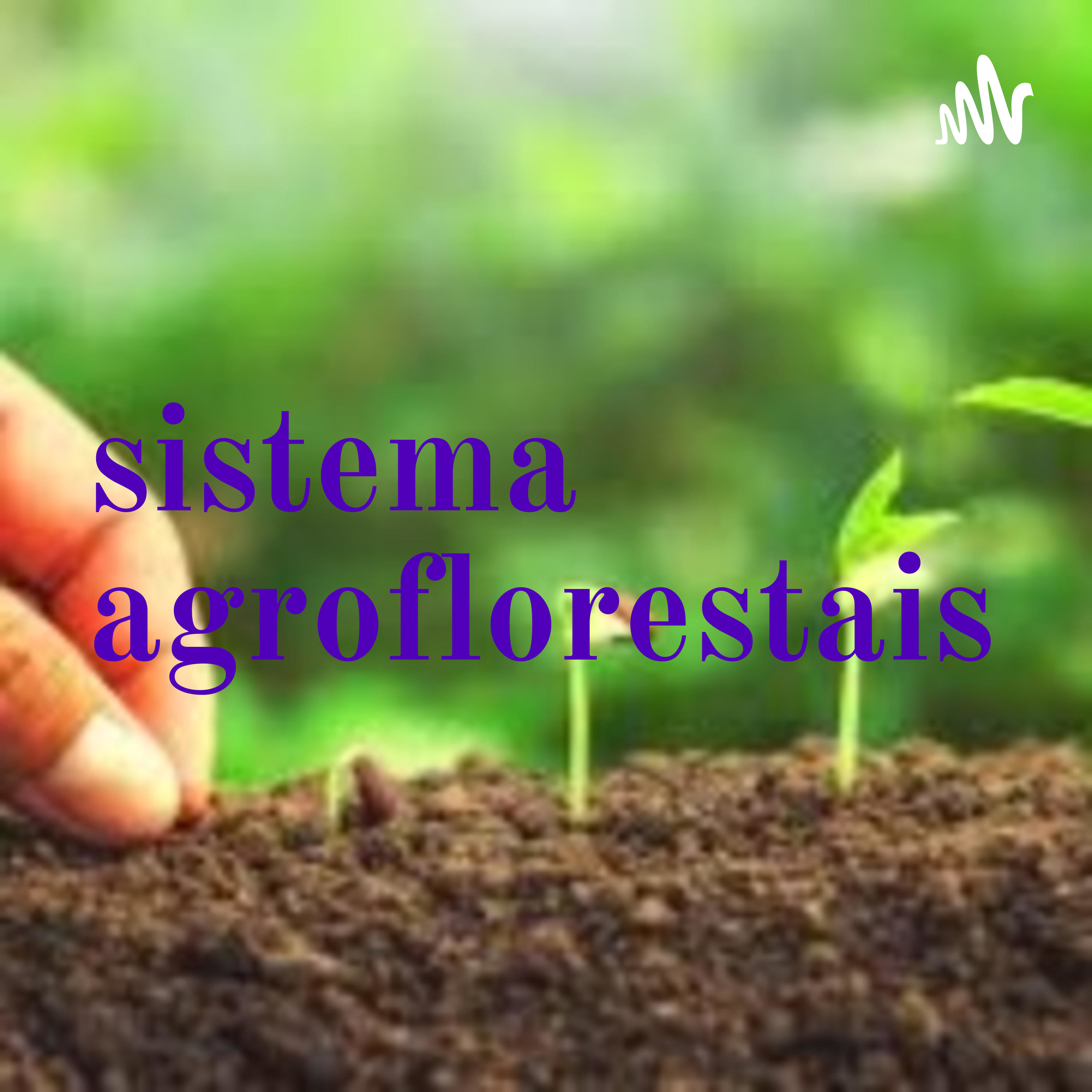 curso sistema agroflorestais
