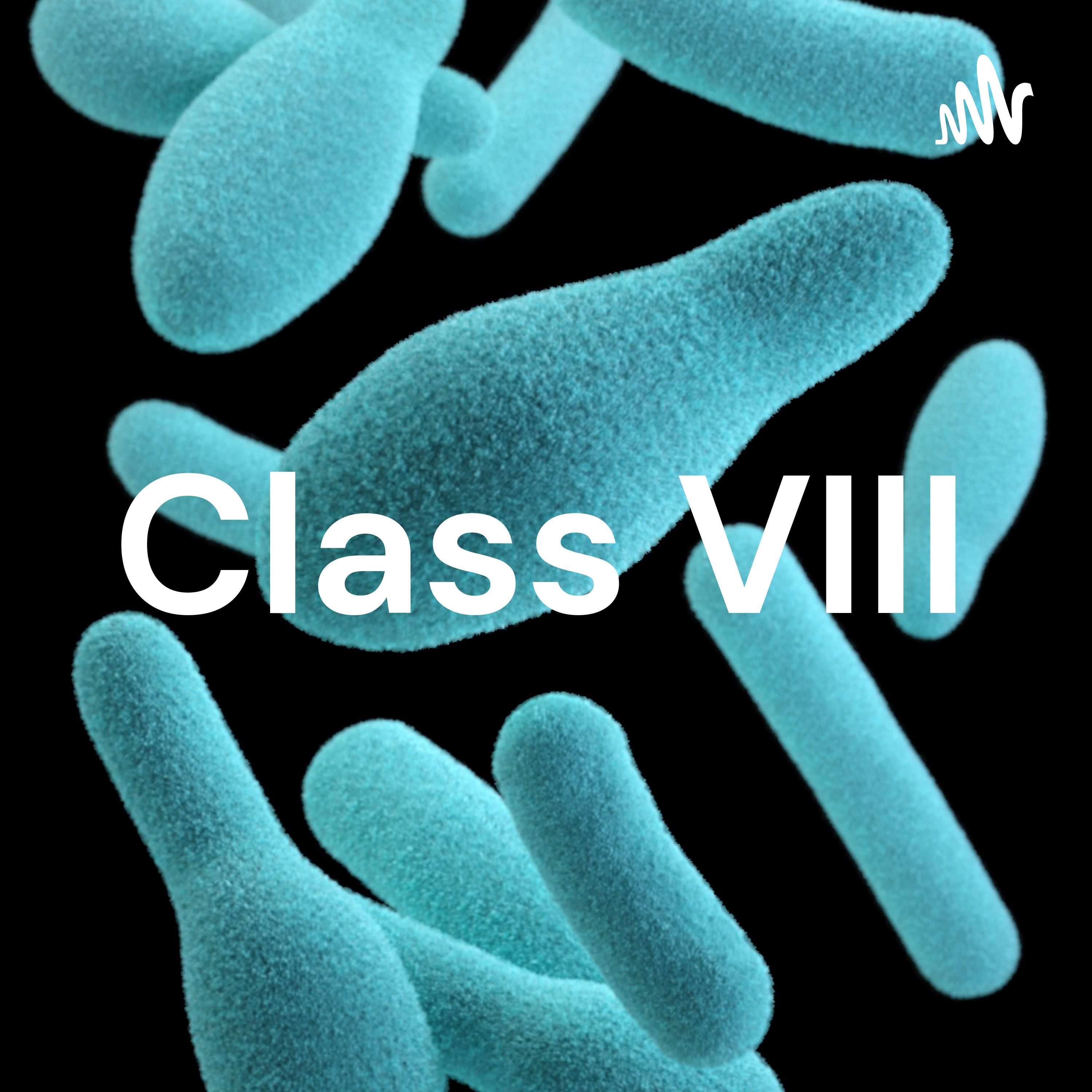Class VIII