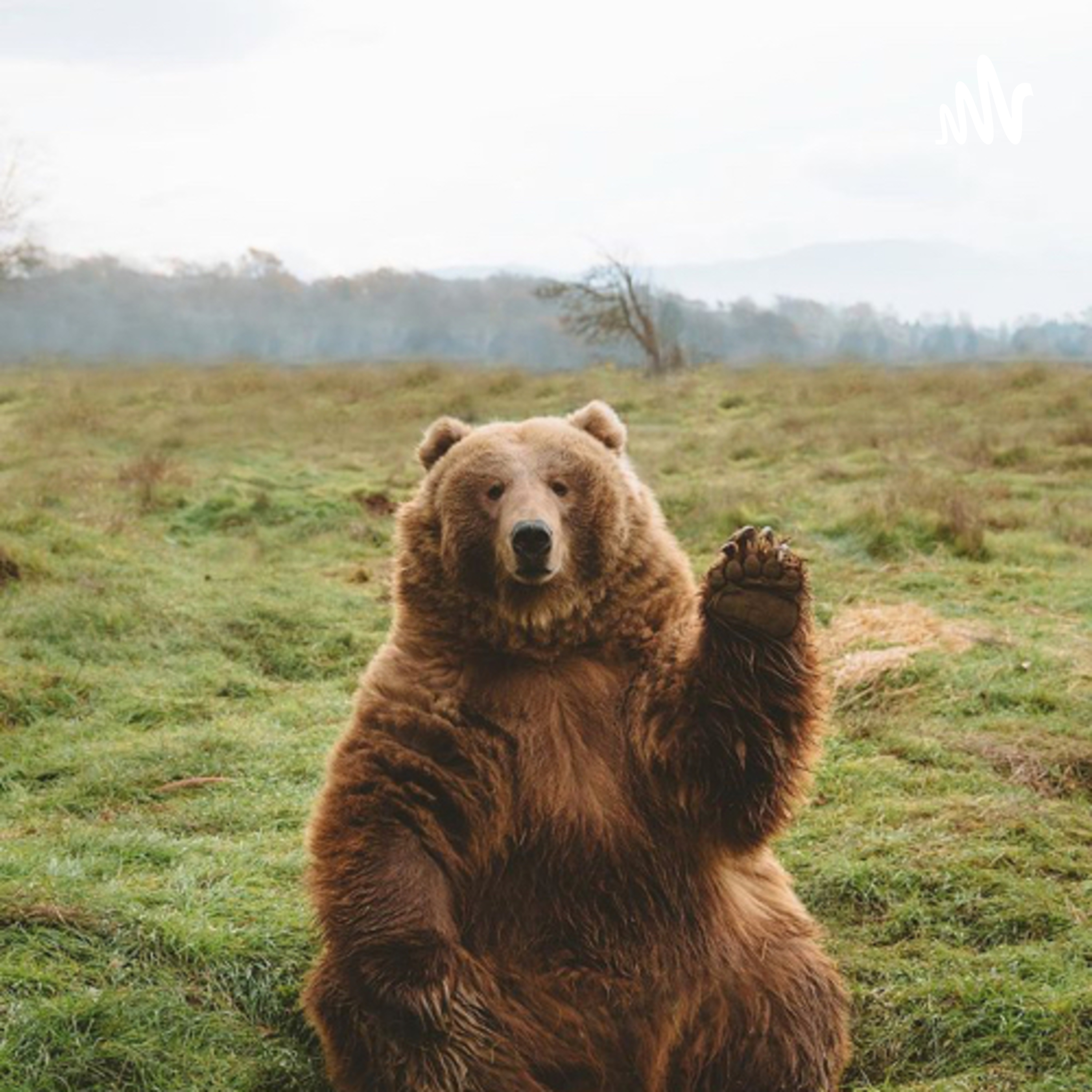 Mas Al Talks cover art