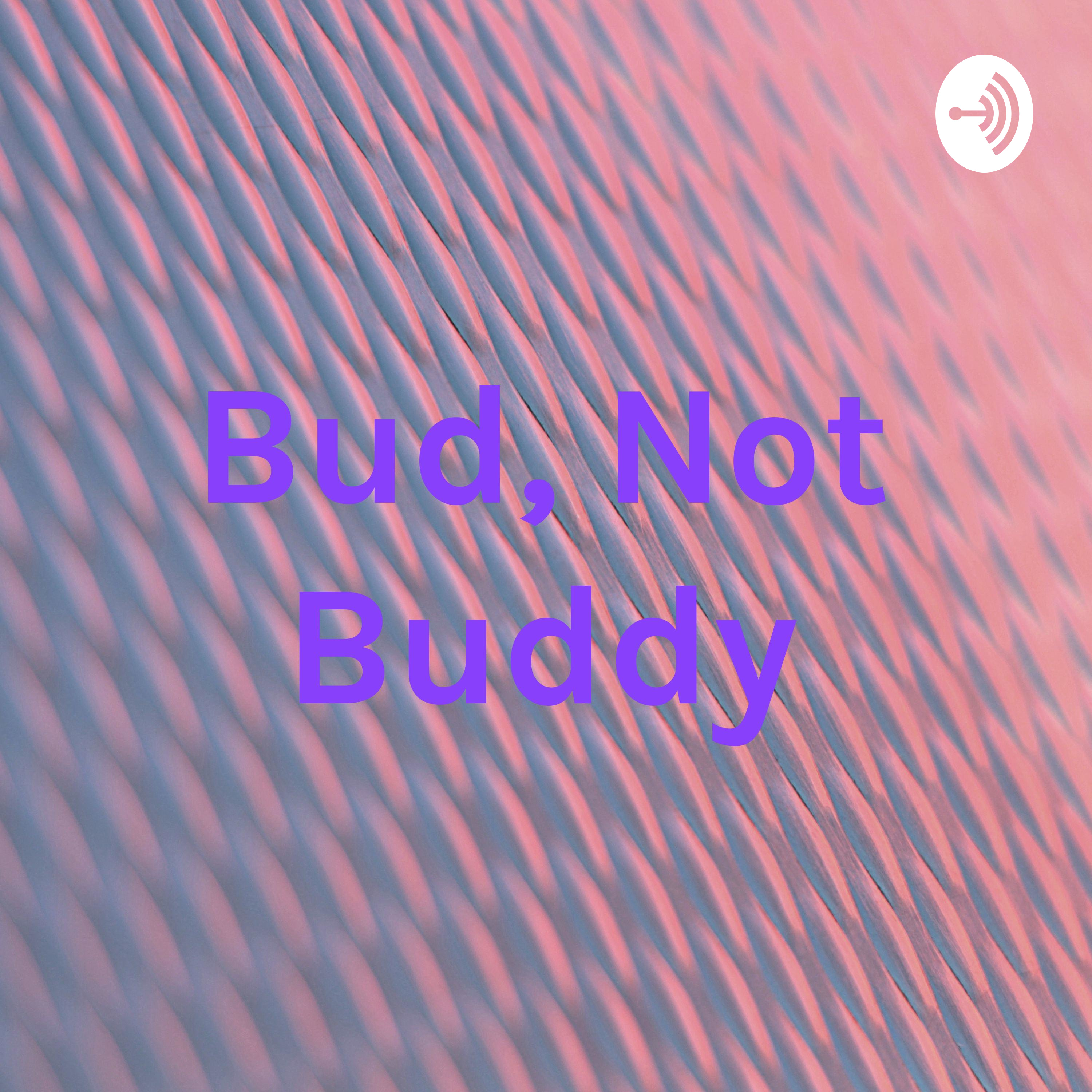 Bud, Not Buddy