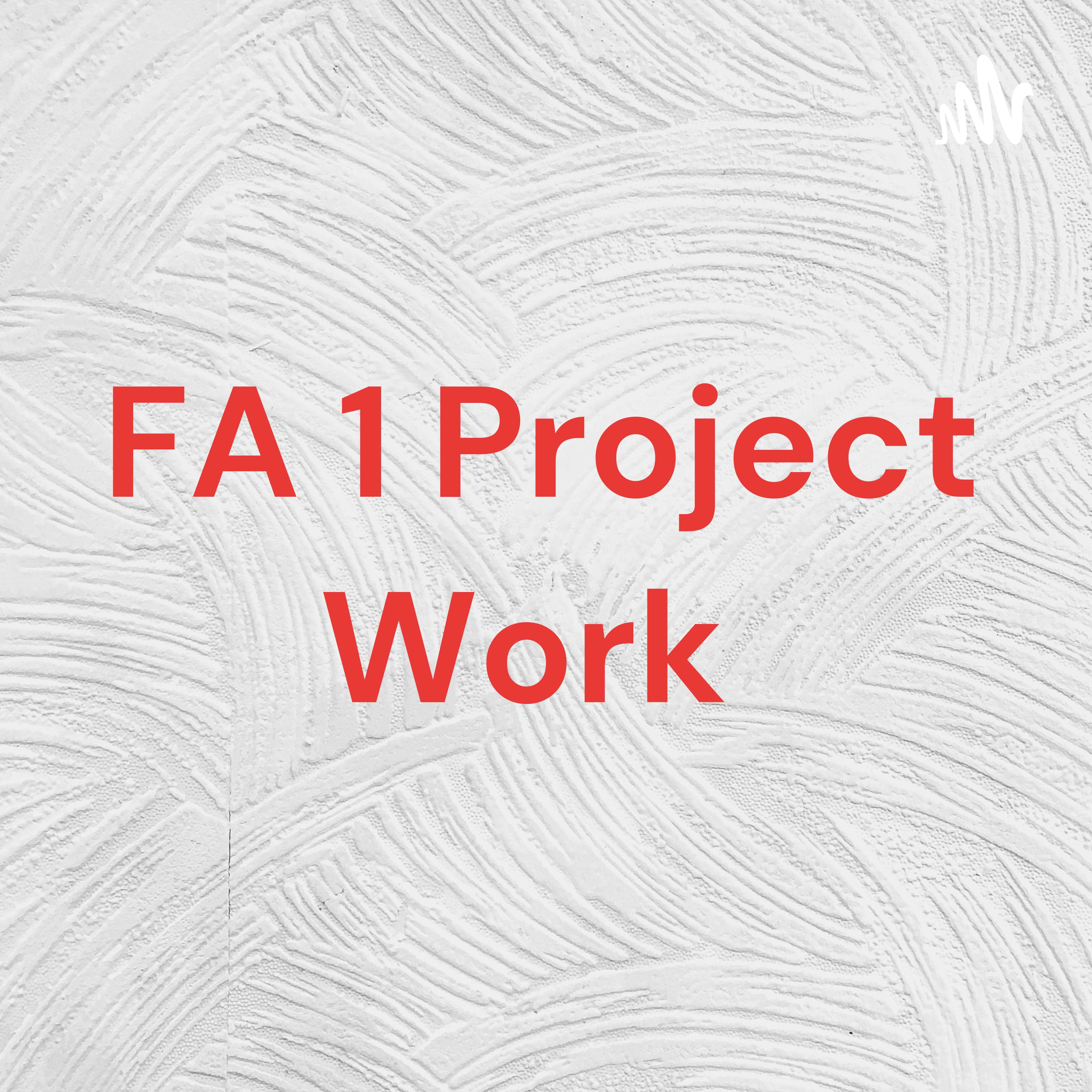 FA 1 Project Work