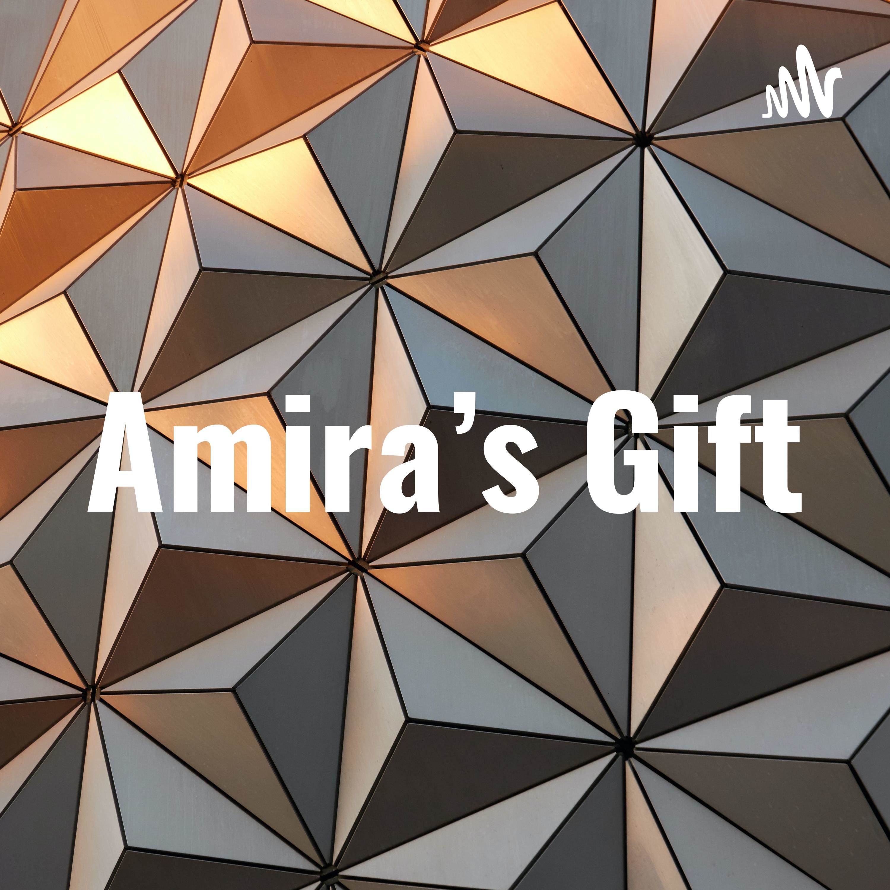 Amira’s Gift