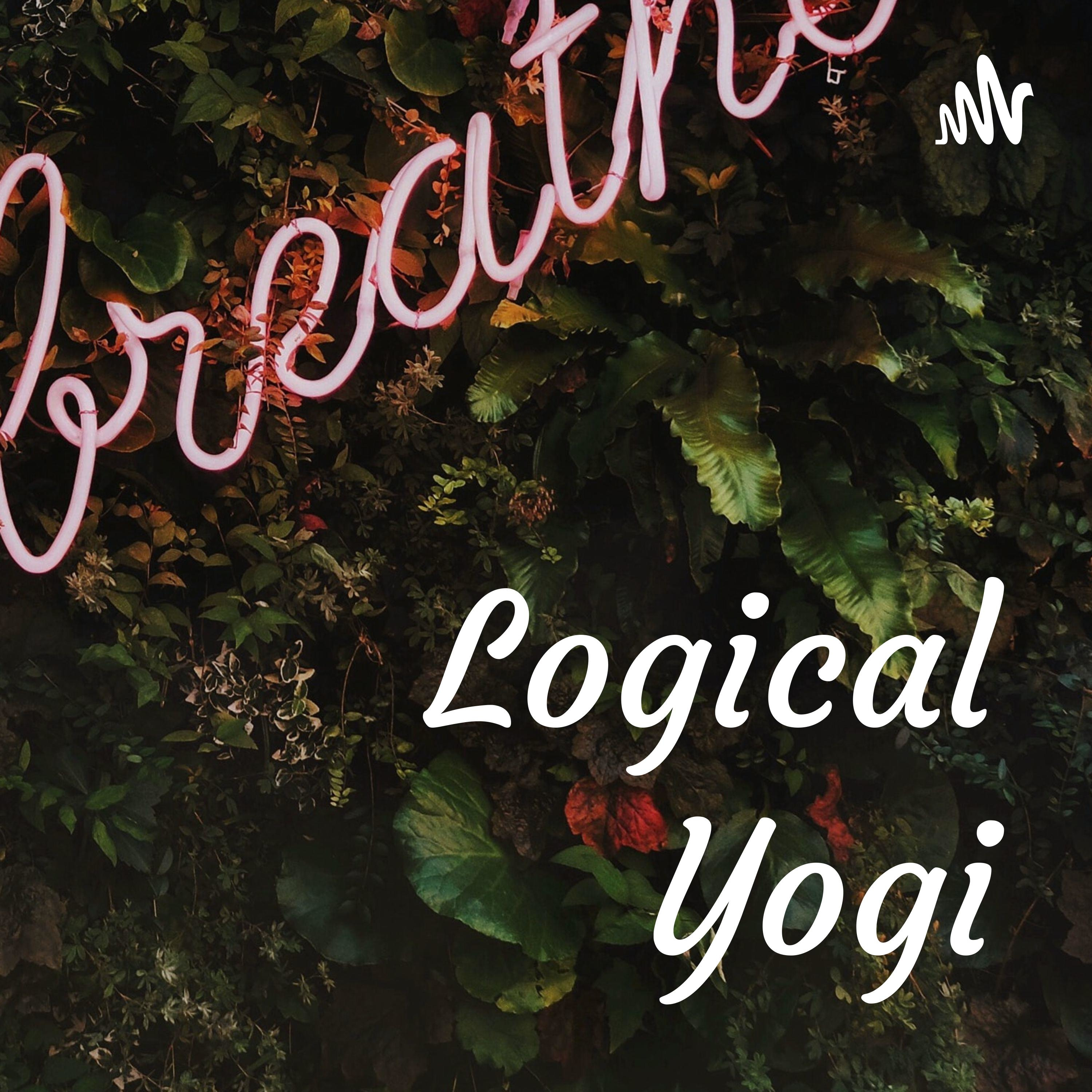 Logical Yogi
