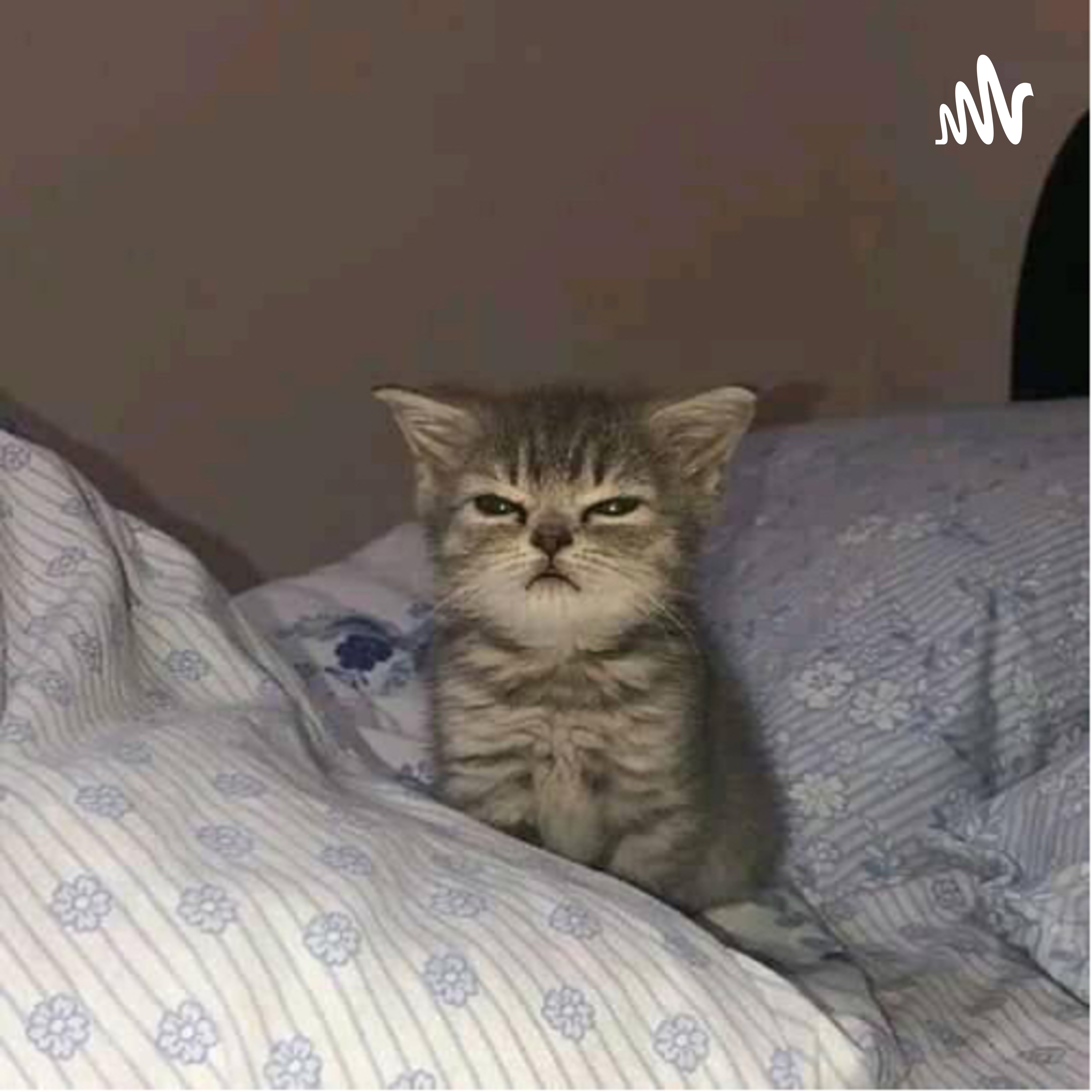 Herramientas de organización