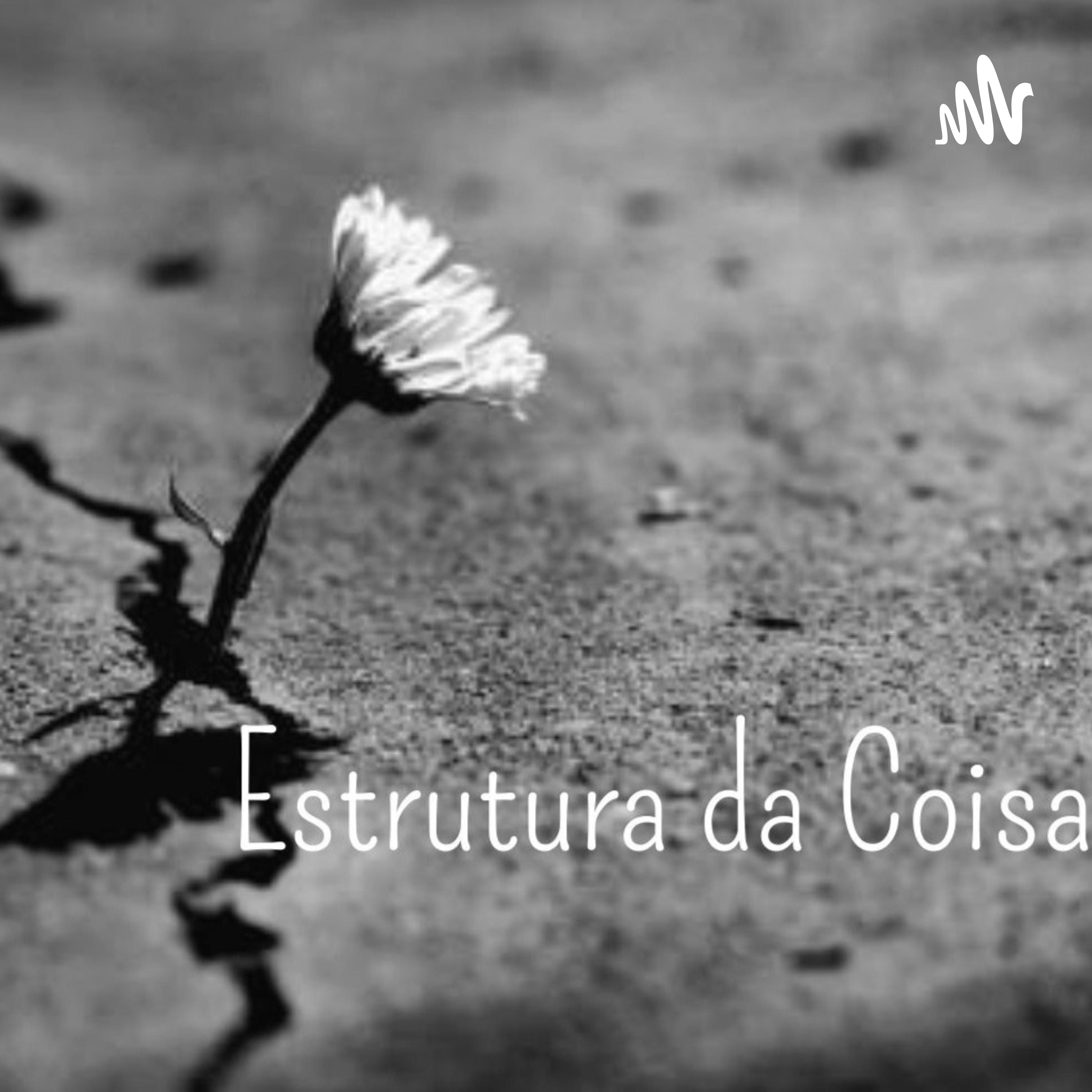 A Estrutura da Coisa