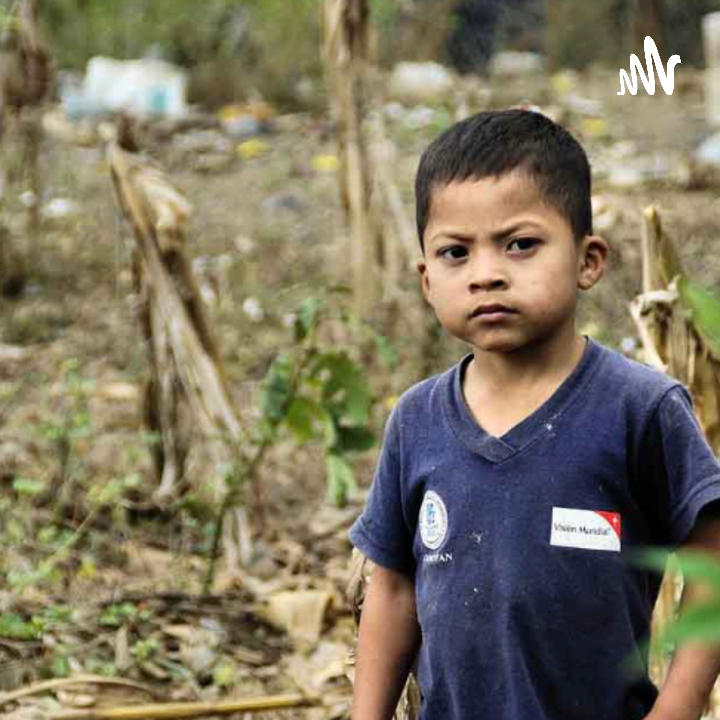 Teoría del conflicto social