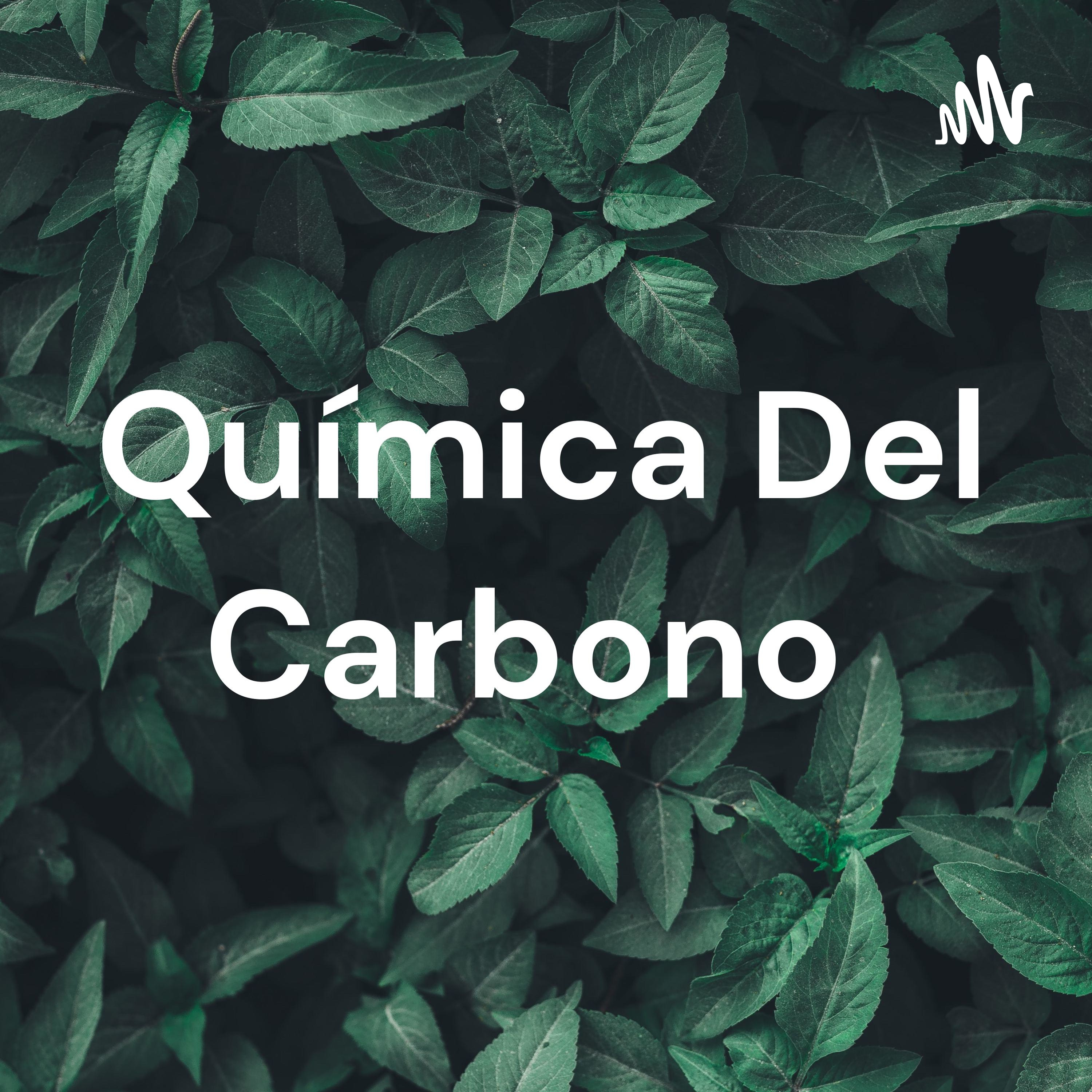 Química Del Carbono