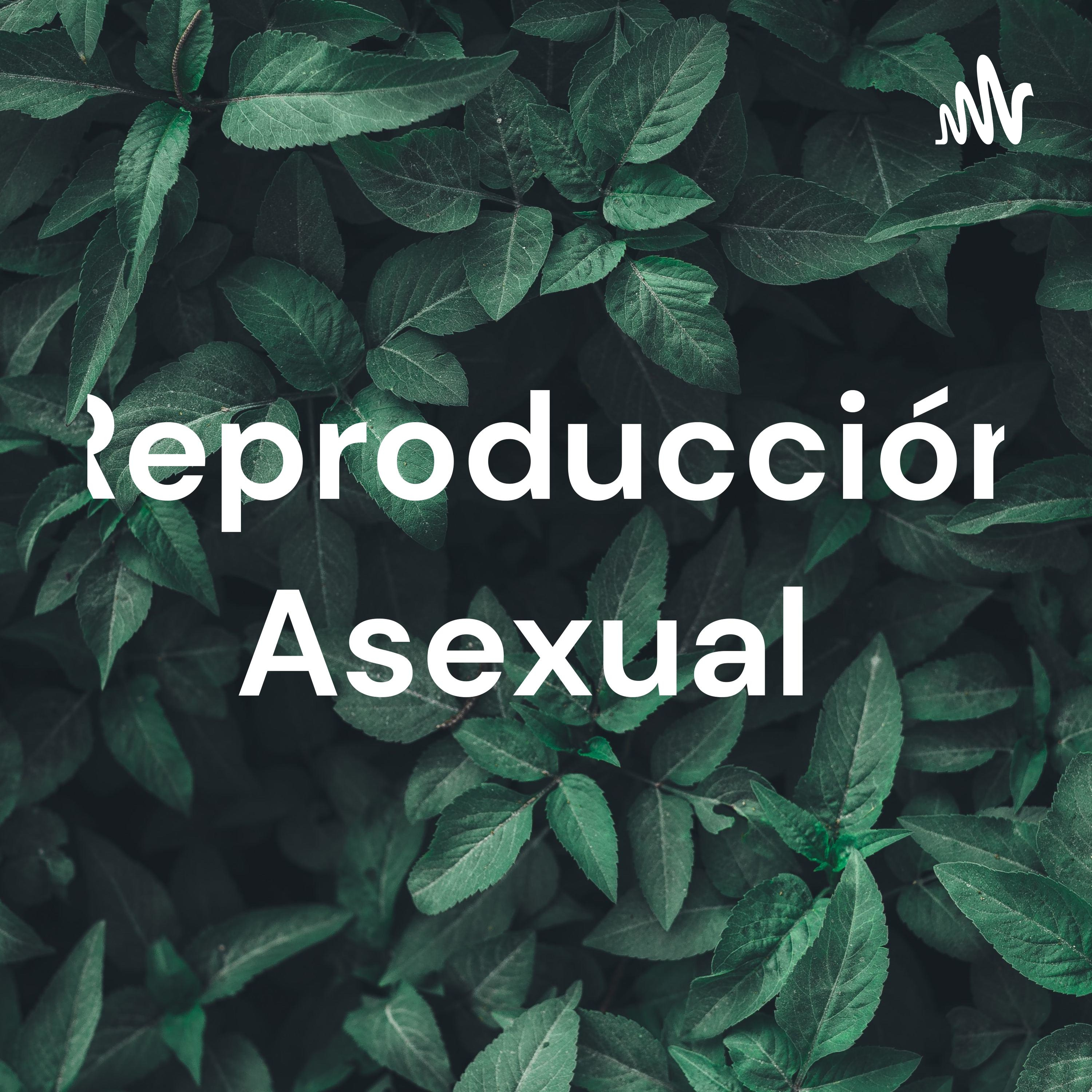 Reproducción Asexual 