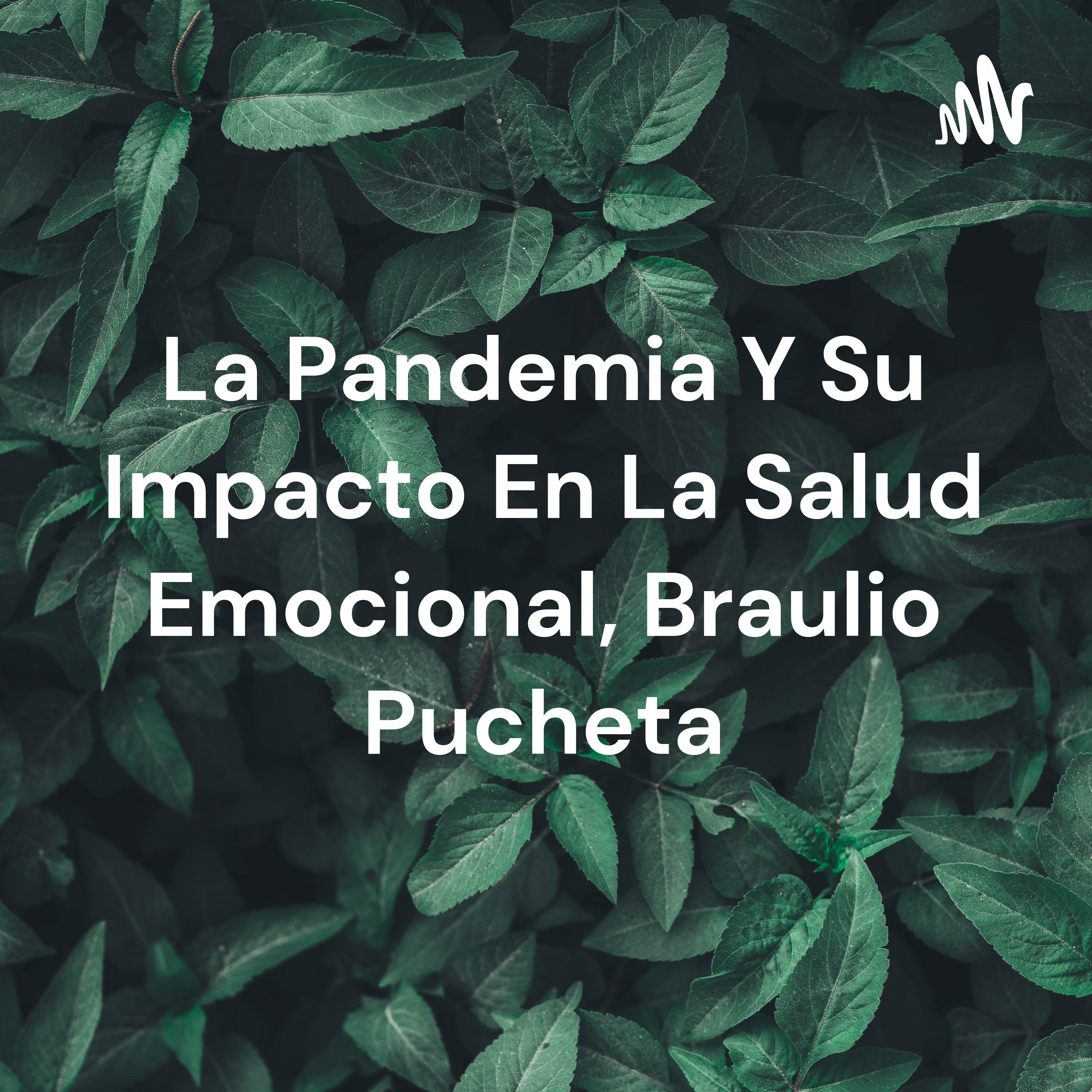 La Pandemia Y Su Impacto En La Salud Emocional, Braulio Pucheta