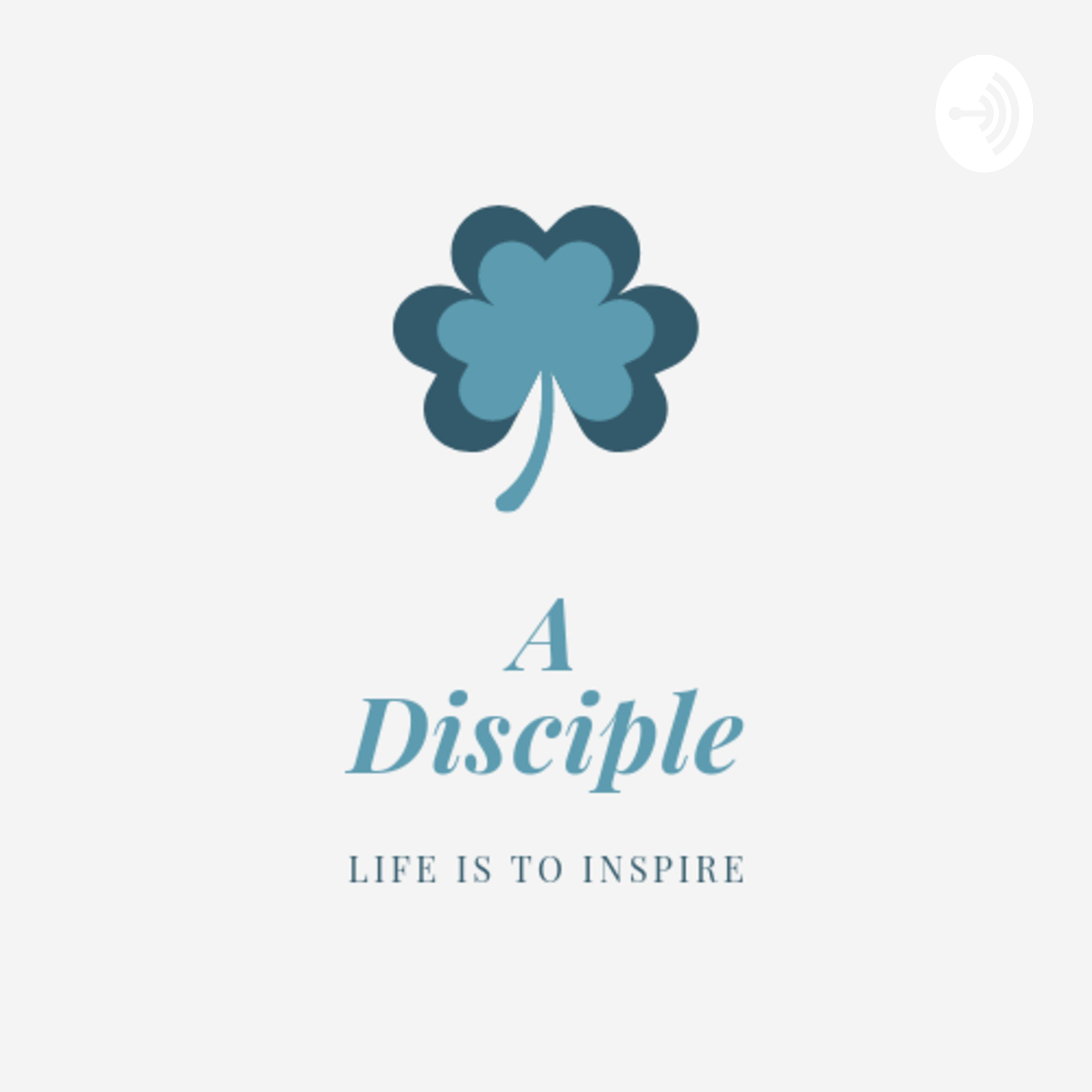 A Disciple 