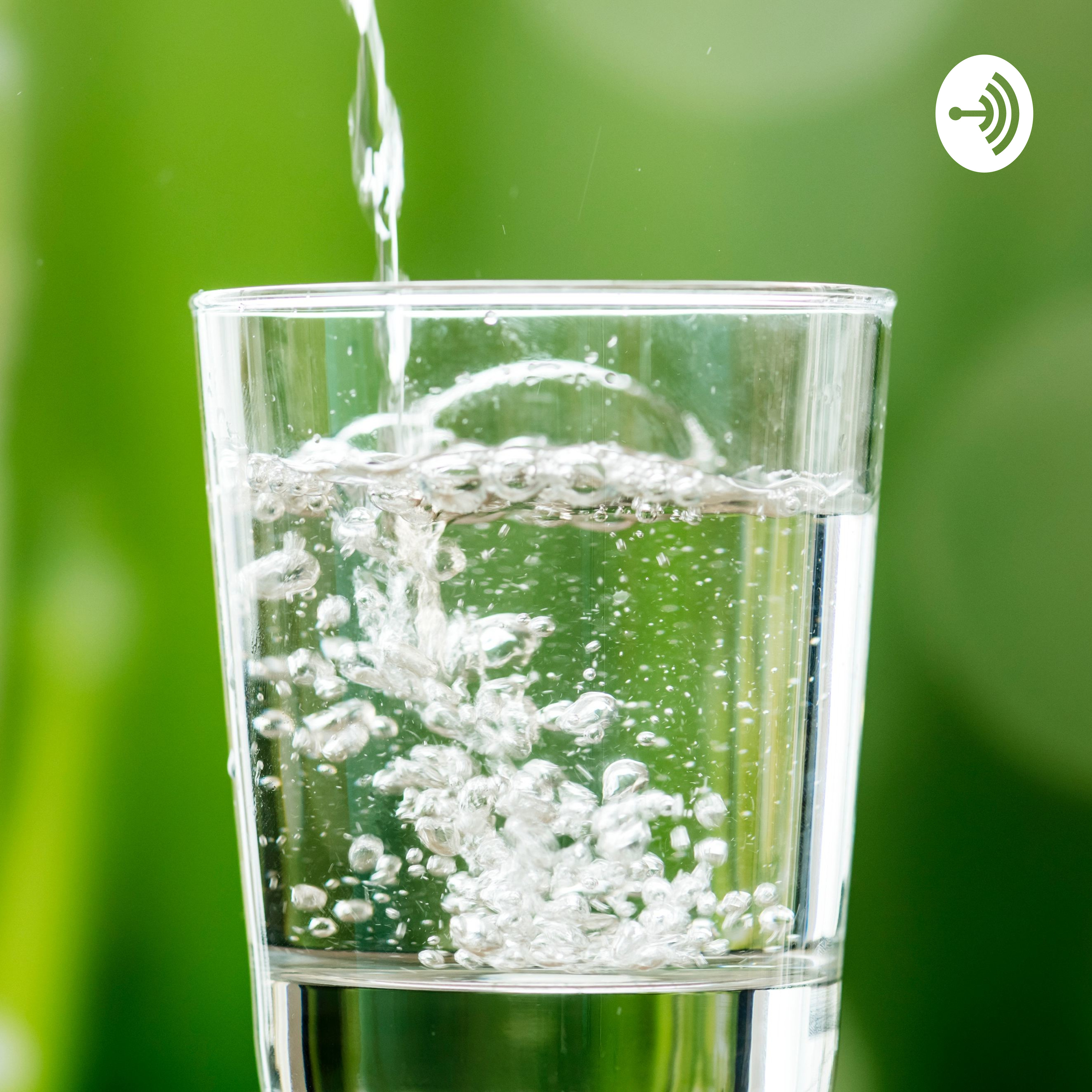 Risks And Benefits Of The African Bio-mineral Dietary Plan