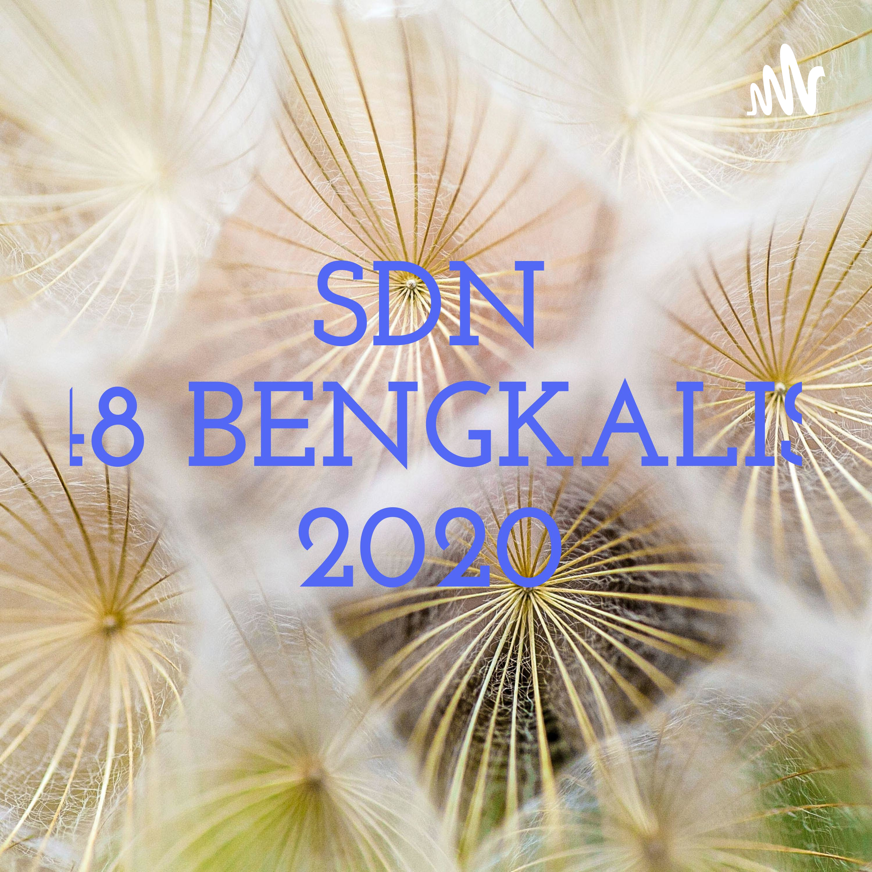 SDN 48 BENGKALIS 2020 cover