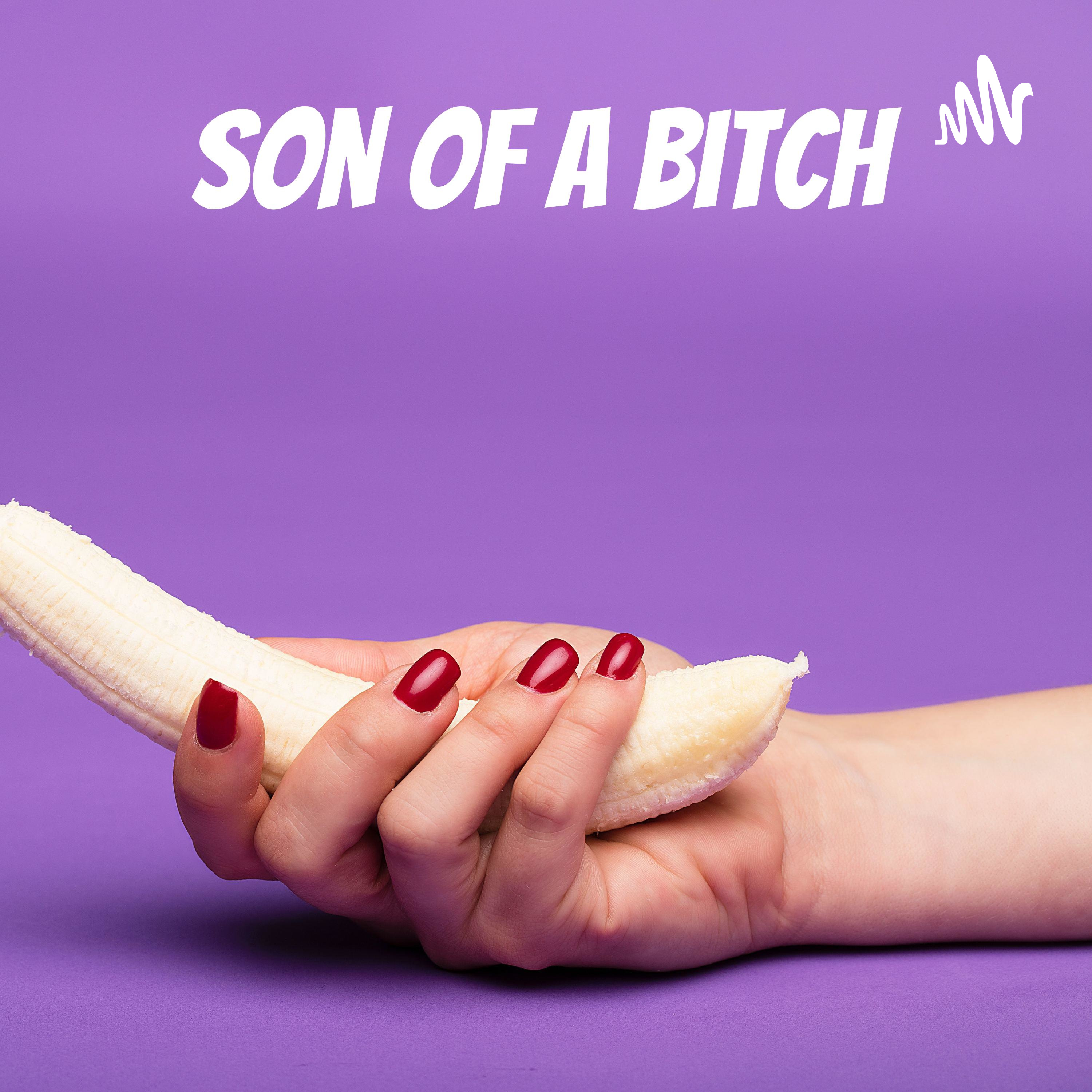 Son of a Bitch - Putain de Vie 