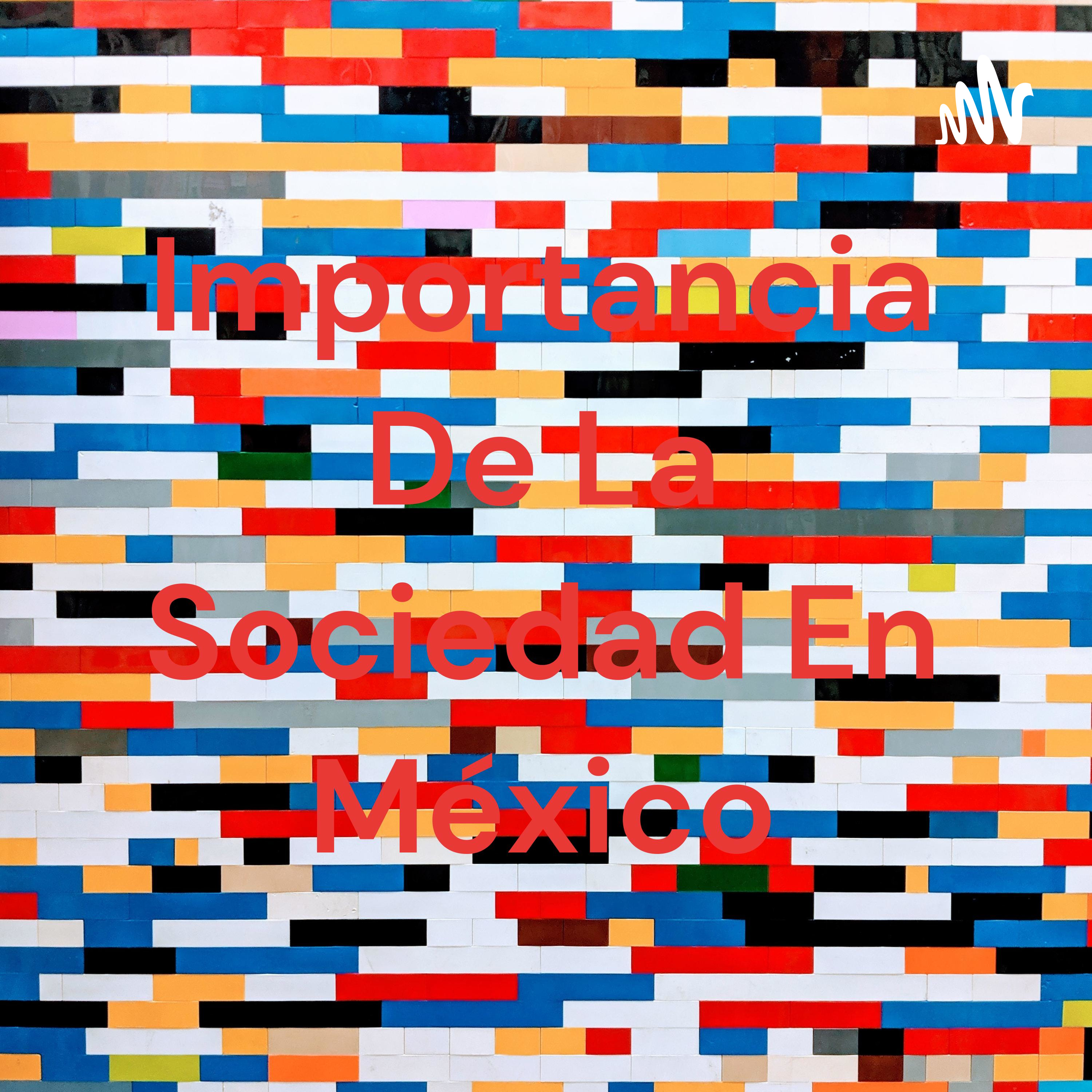 Importancia De La Sociedad En México