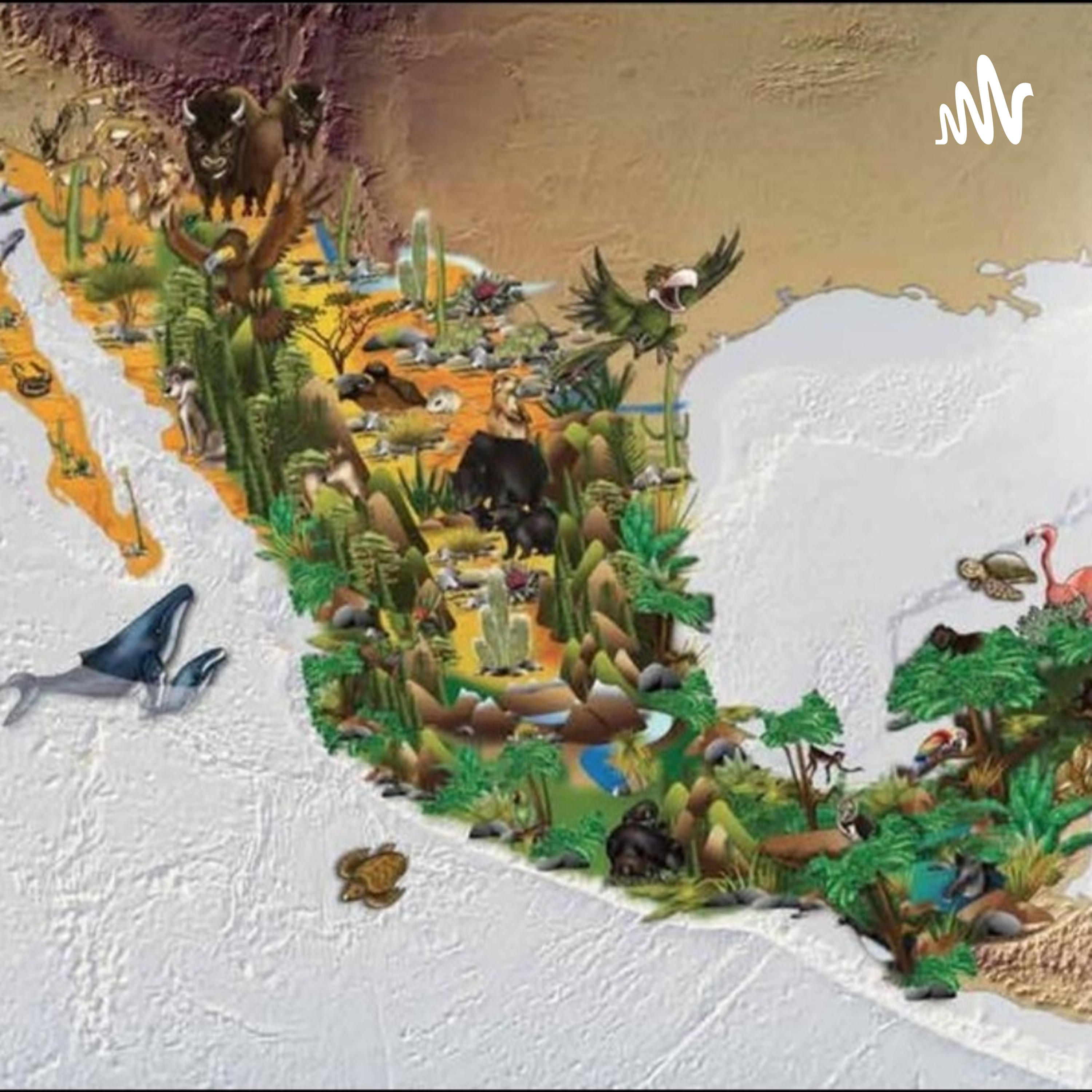 Entrevista-Biodiversidad 