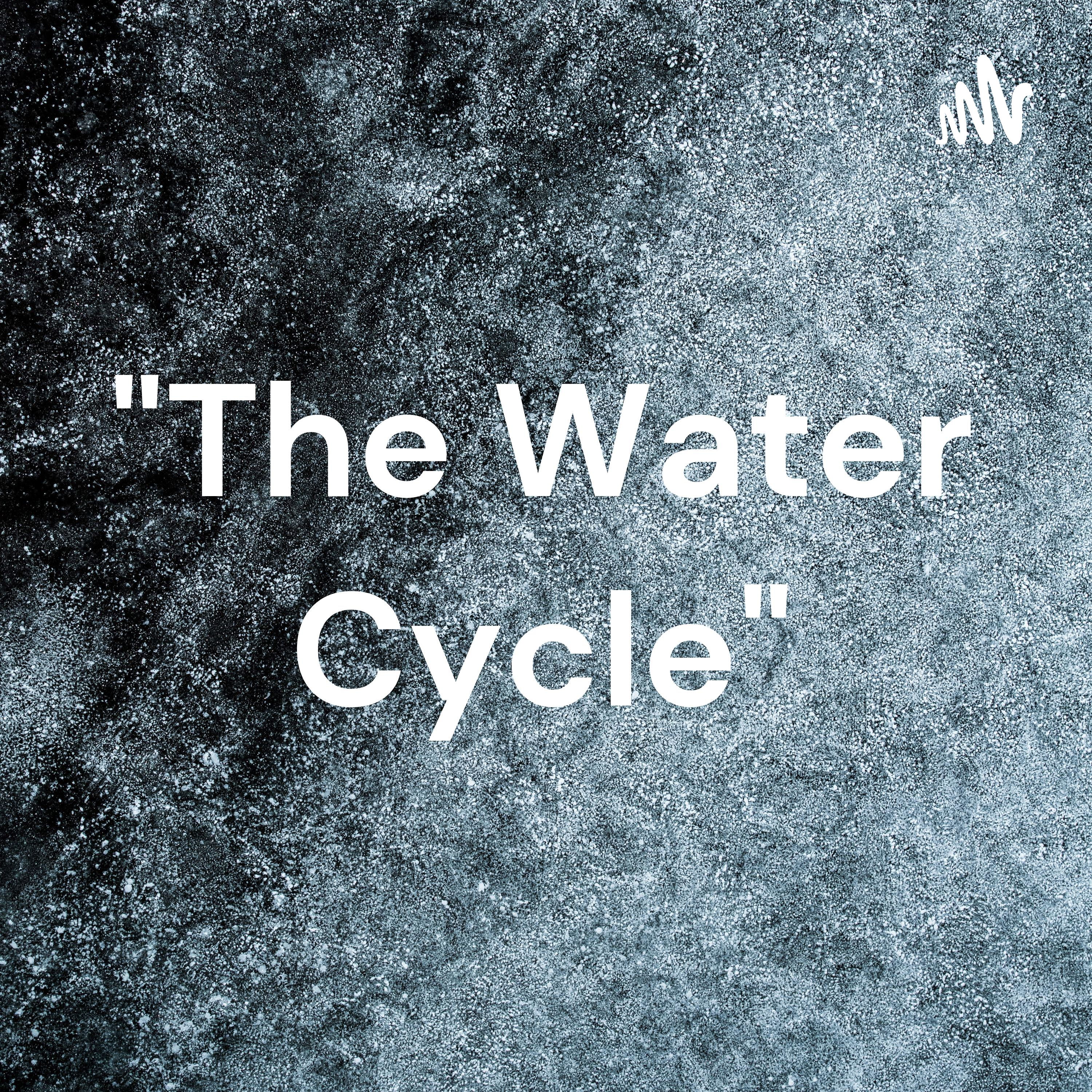 "The Water Cycle"
