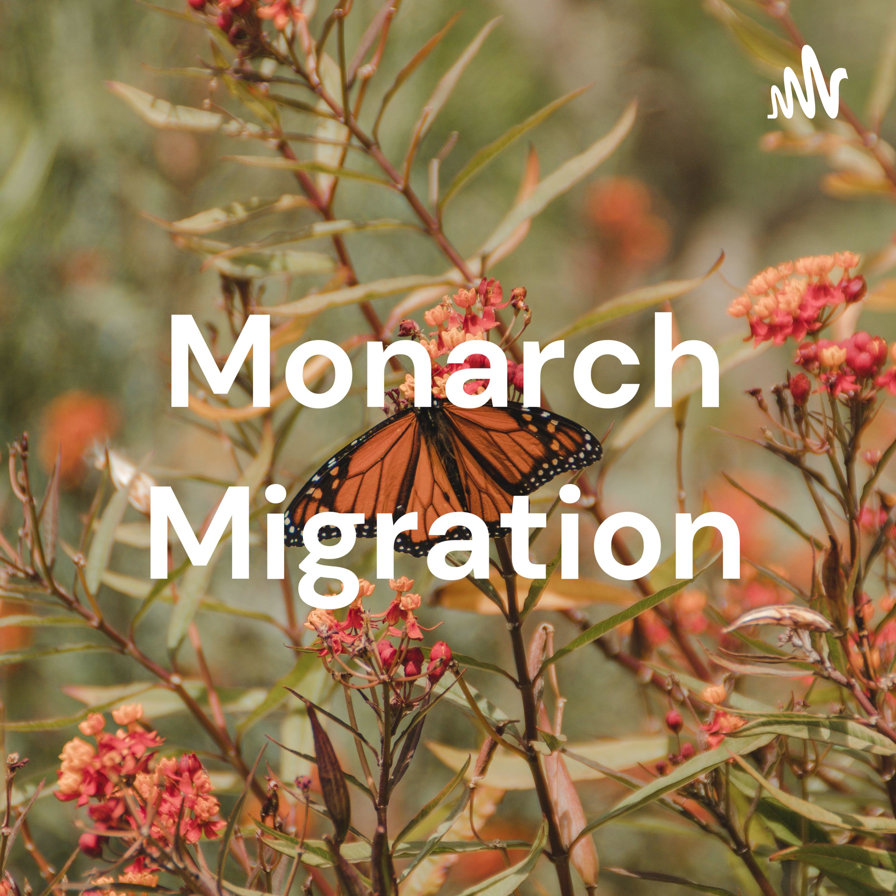 Monarch Migration