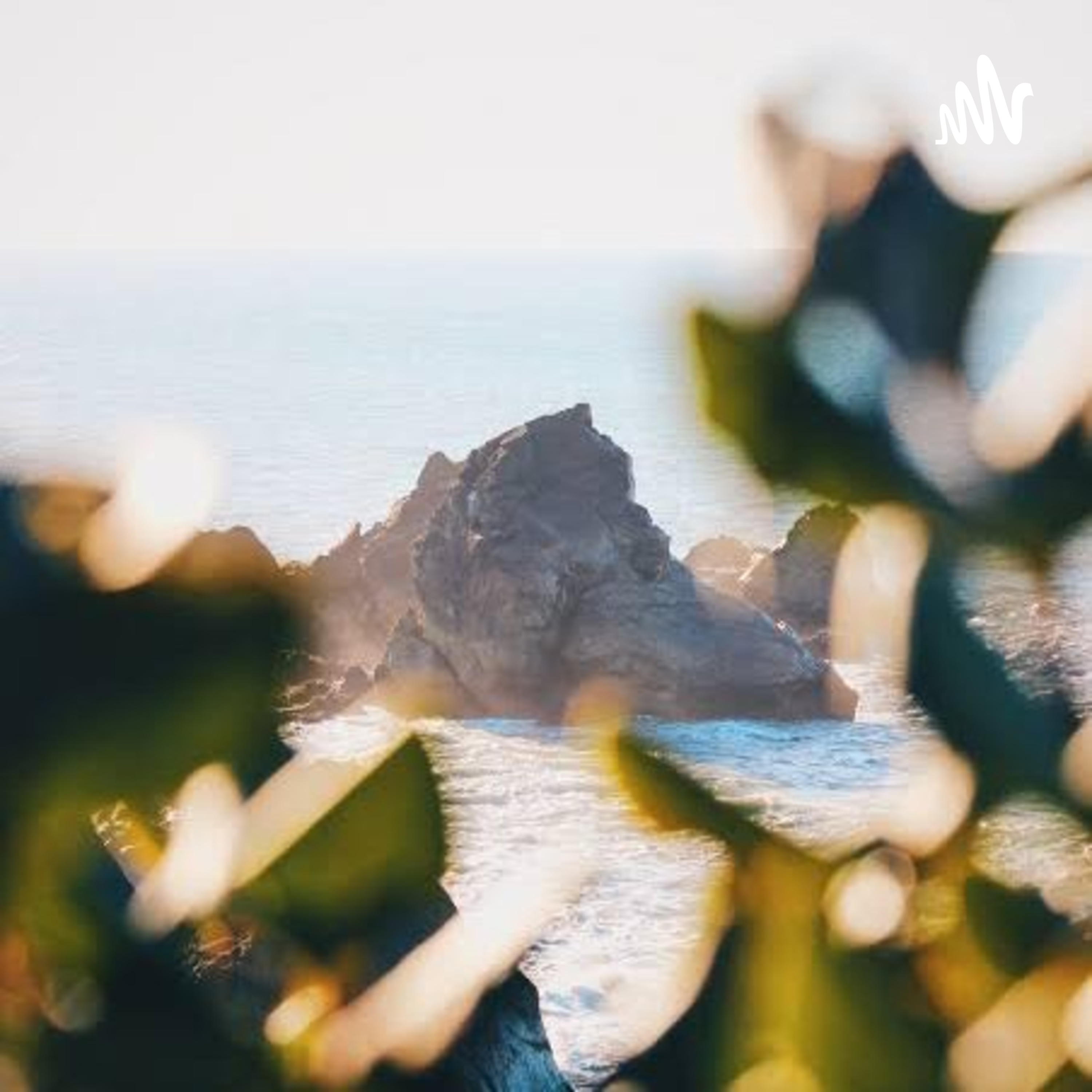 Dynamic Self Determinantin Of Self Care