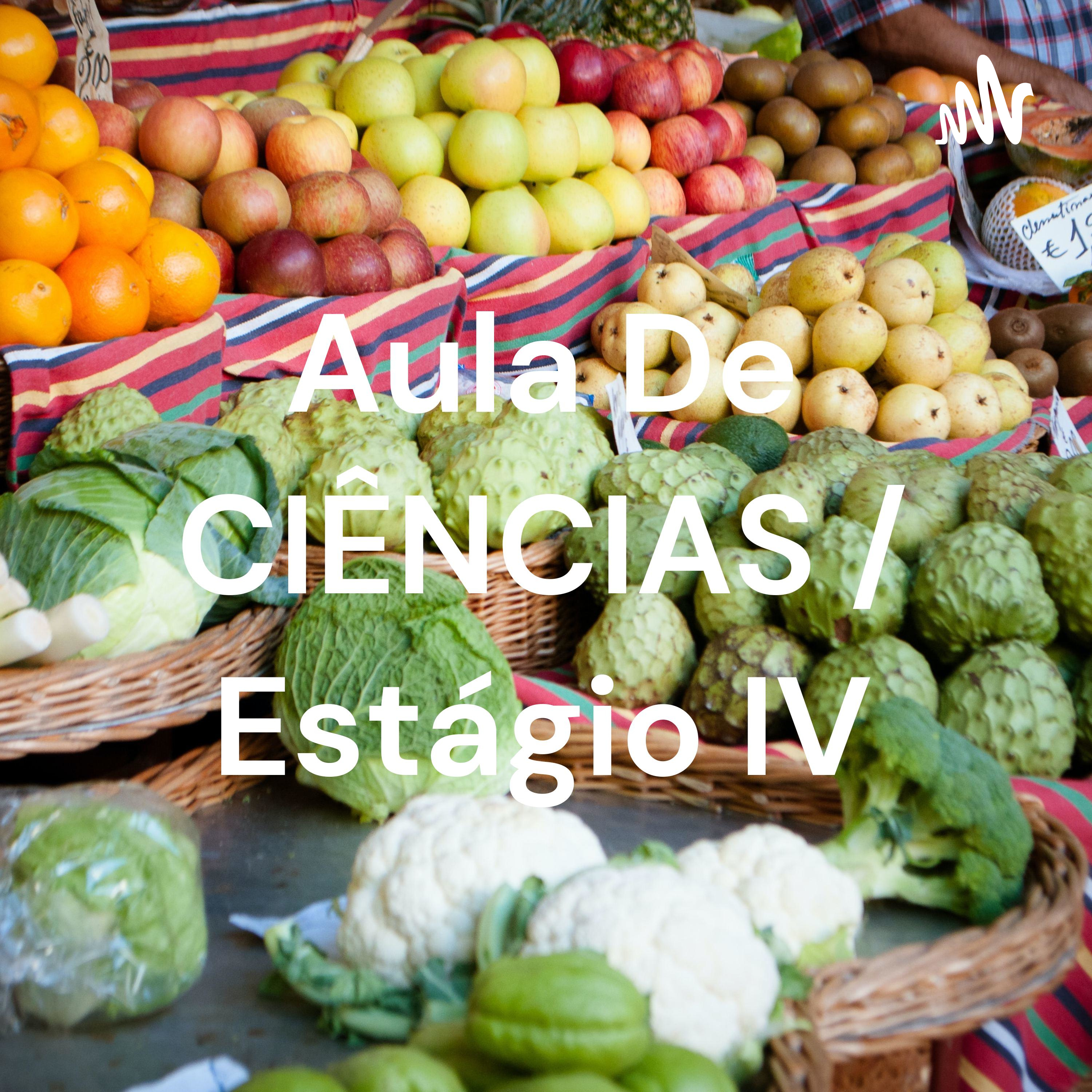 Aula De CIÊNCIAS / Estágio IV