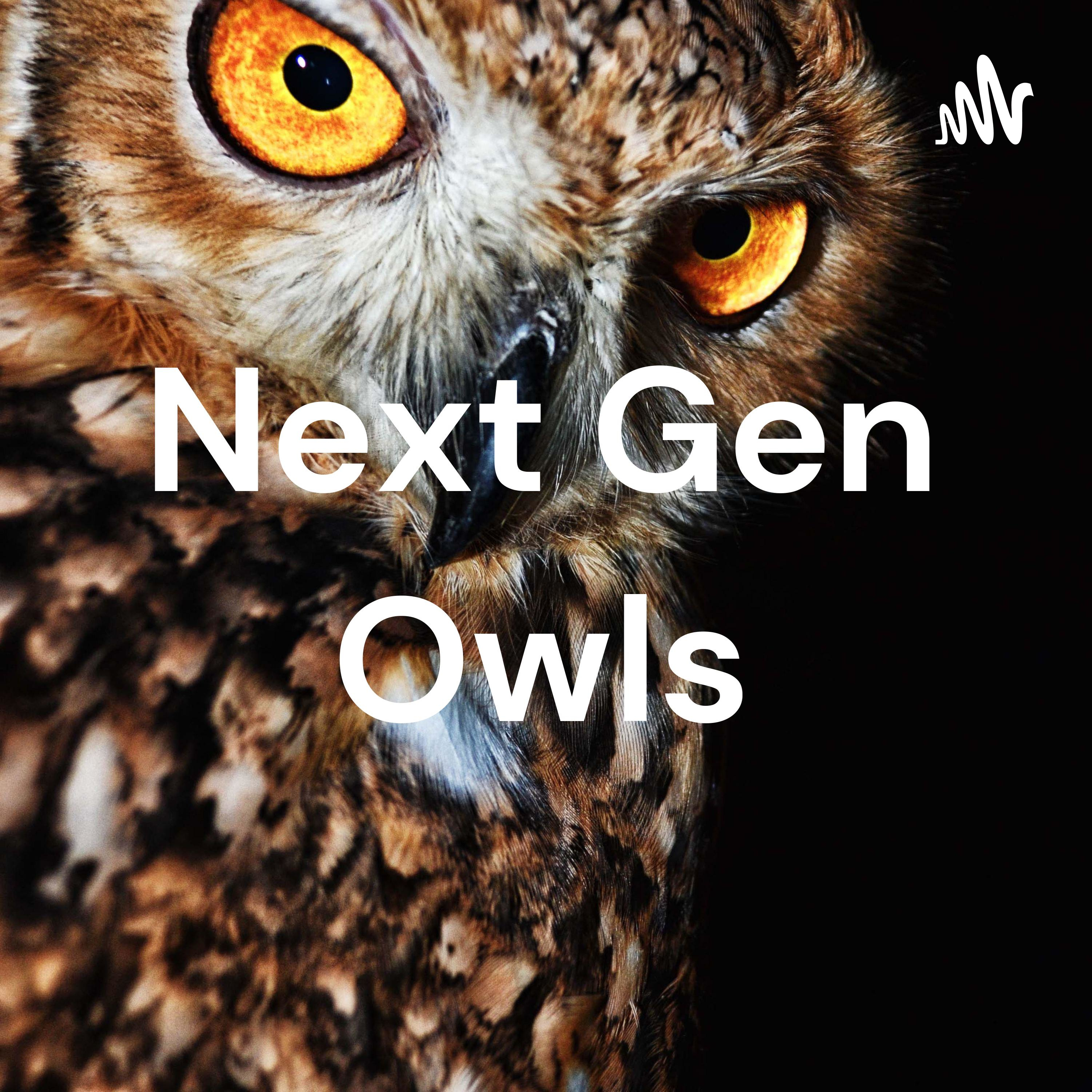 Next Gen Owls