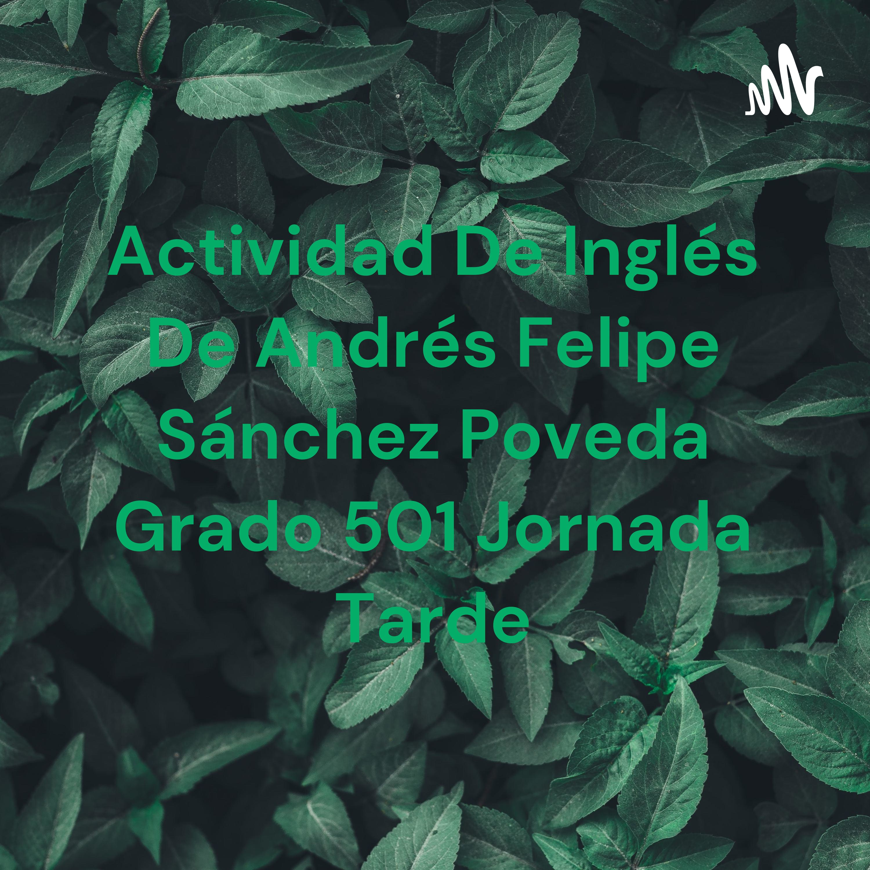 Actividad de Andrés Felipe Sánchez grado 501 jornada tarde