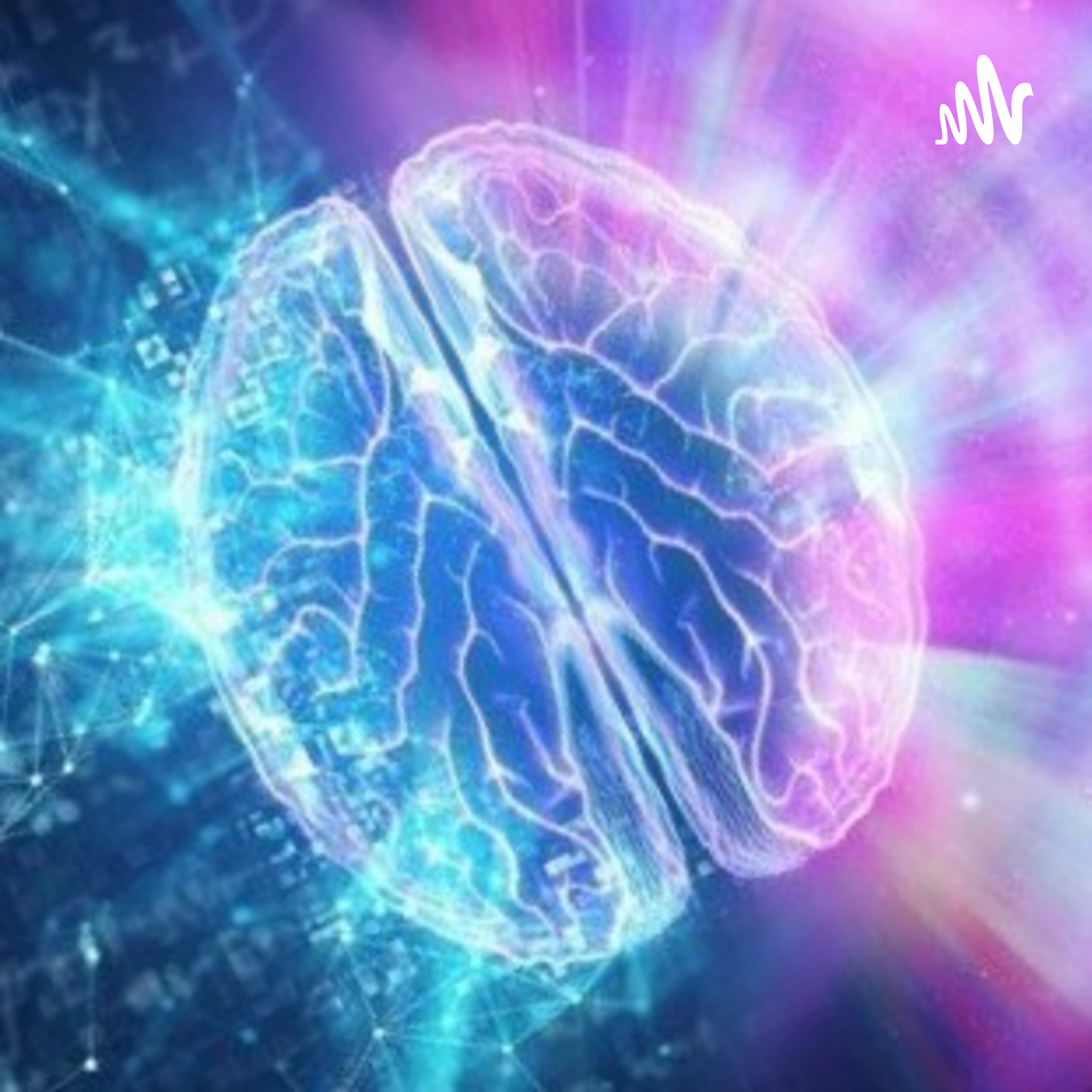 Las Vías De Transmisión Nerviosa