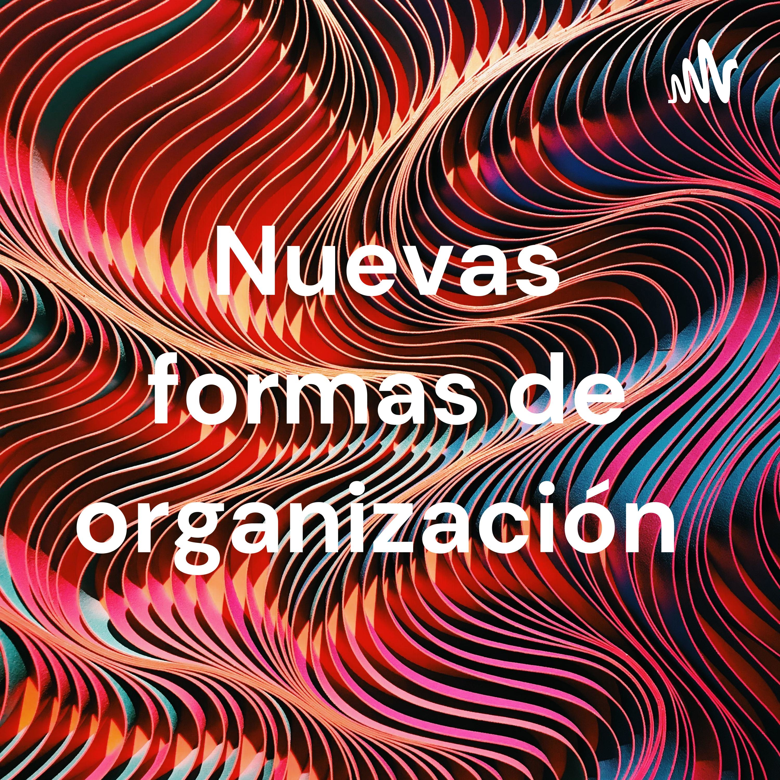 Nuevas formas de organización cover art