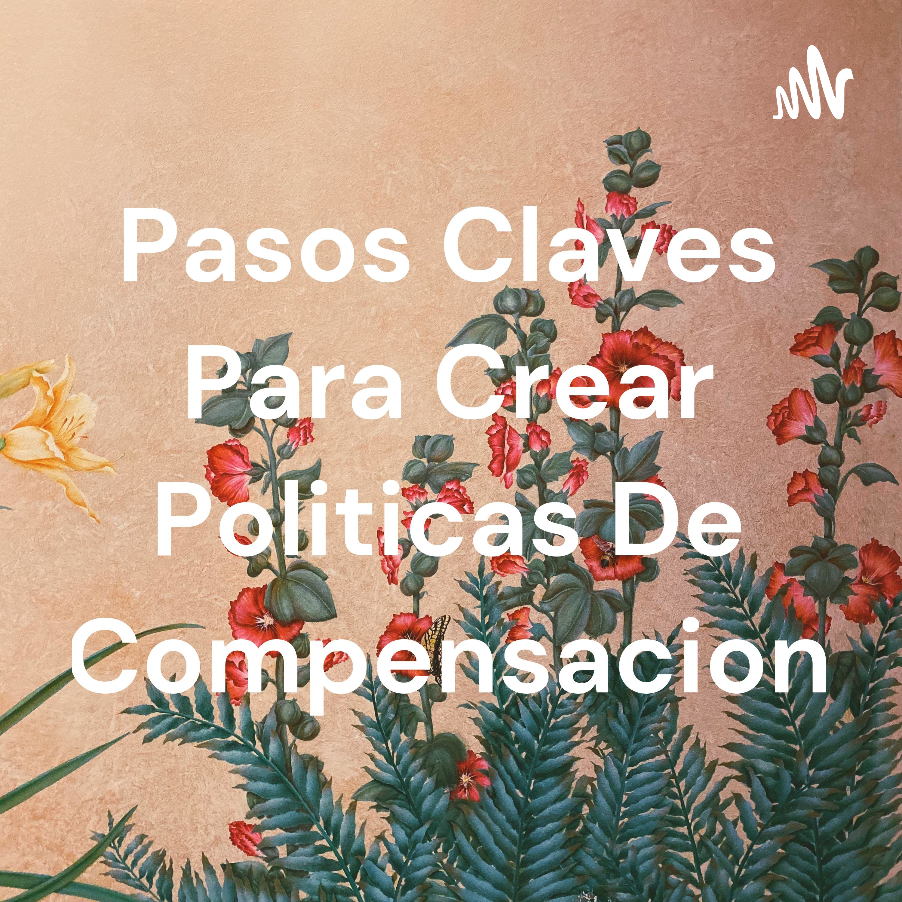 Pasos Claves Para Crear Politicas De Compensacion cover art