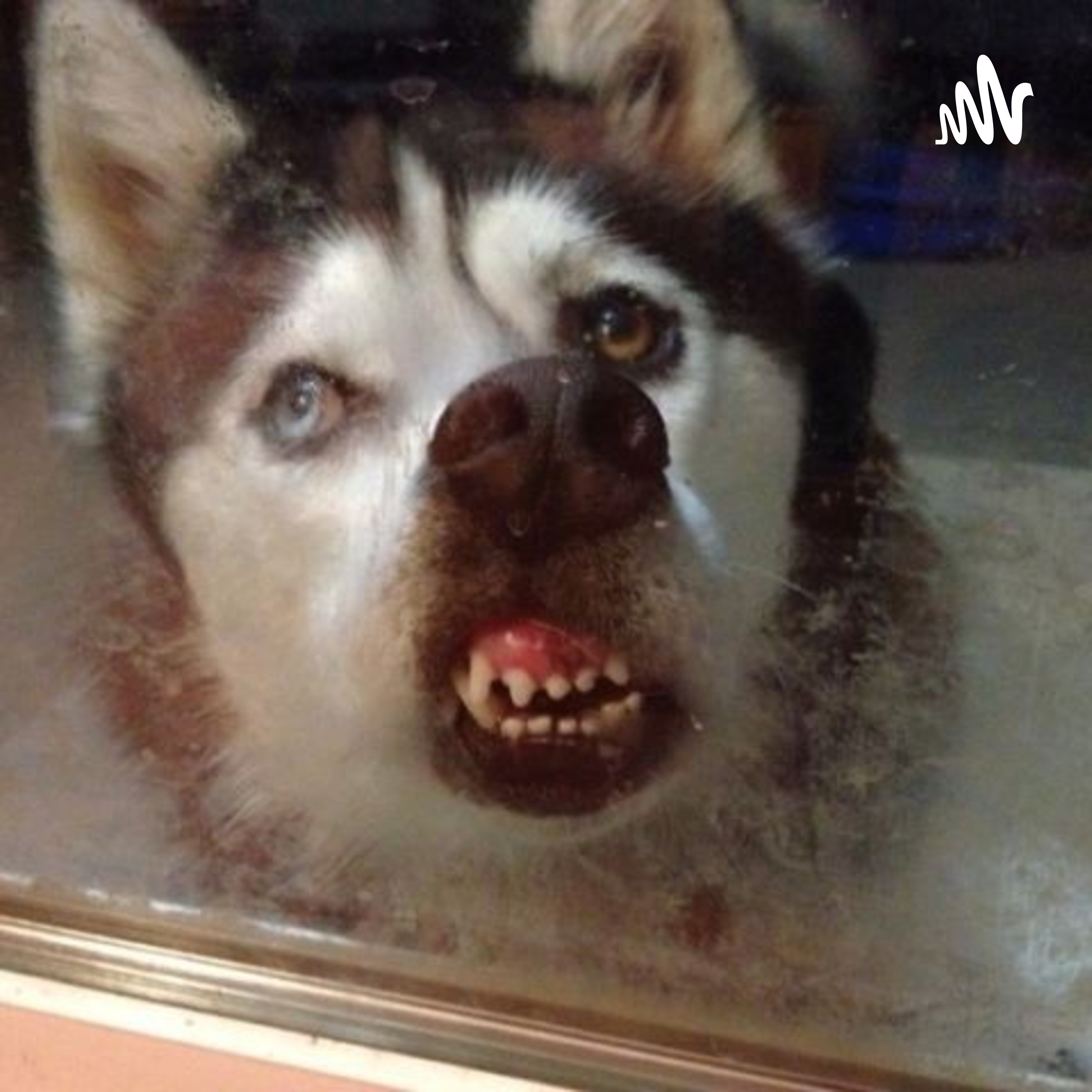 an ordinary highschooler and his dilema