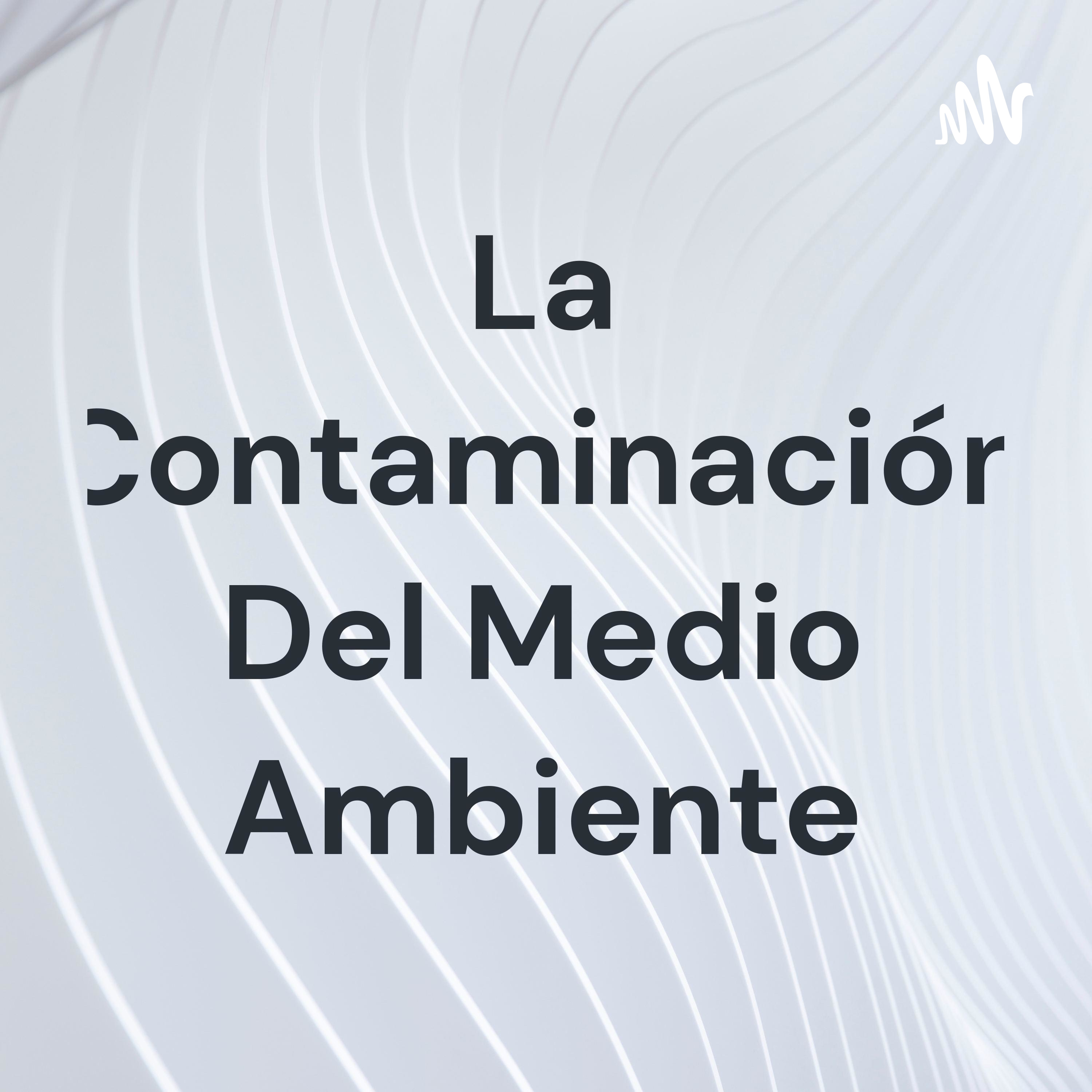 La Contaminación Del Medio Ambiente