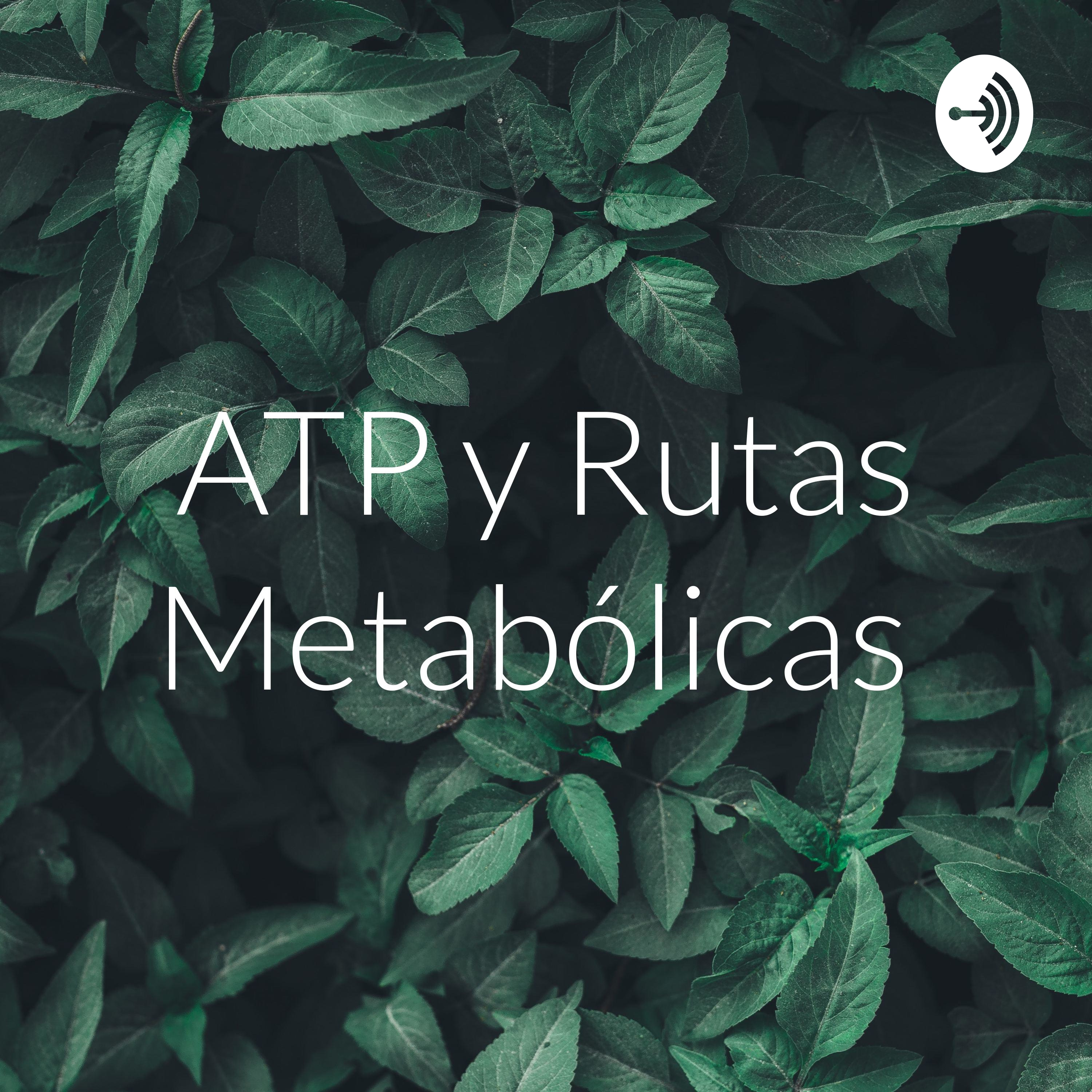 ATP y Rutas Metabólicas
